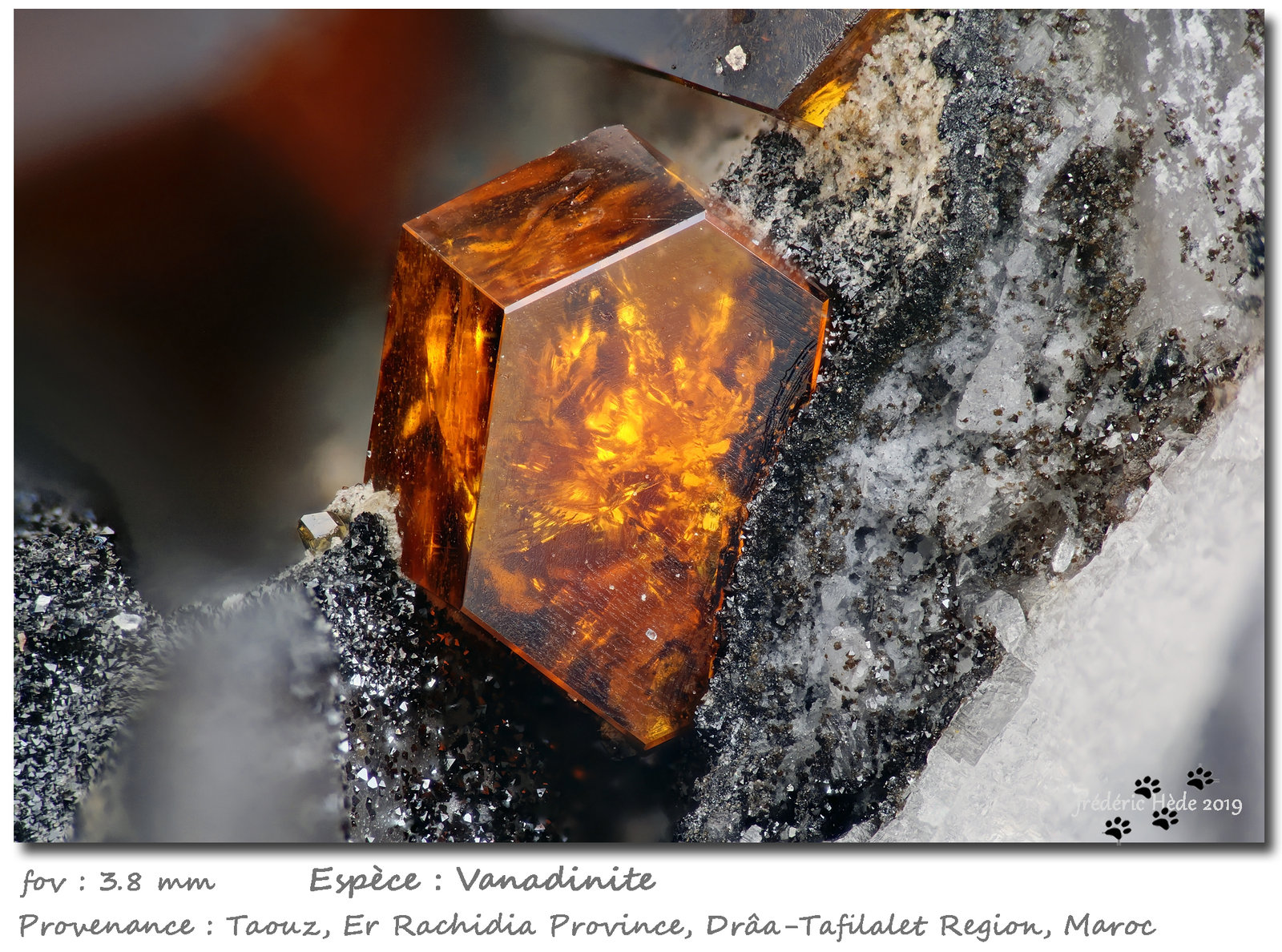 Vanadinite
fov 3.8 mm
(Autor: ploum)