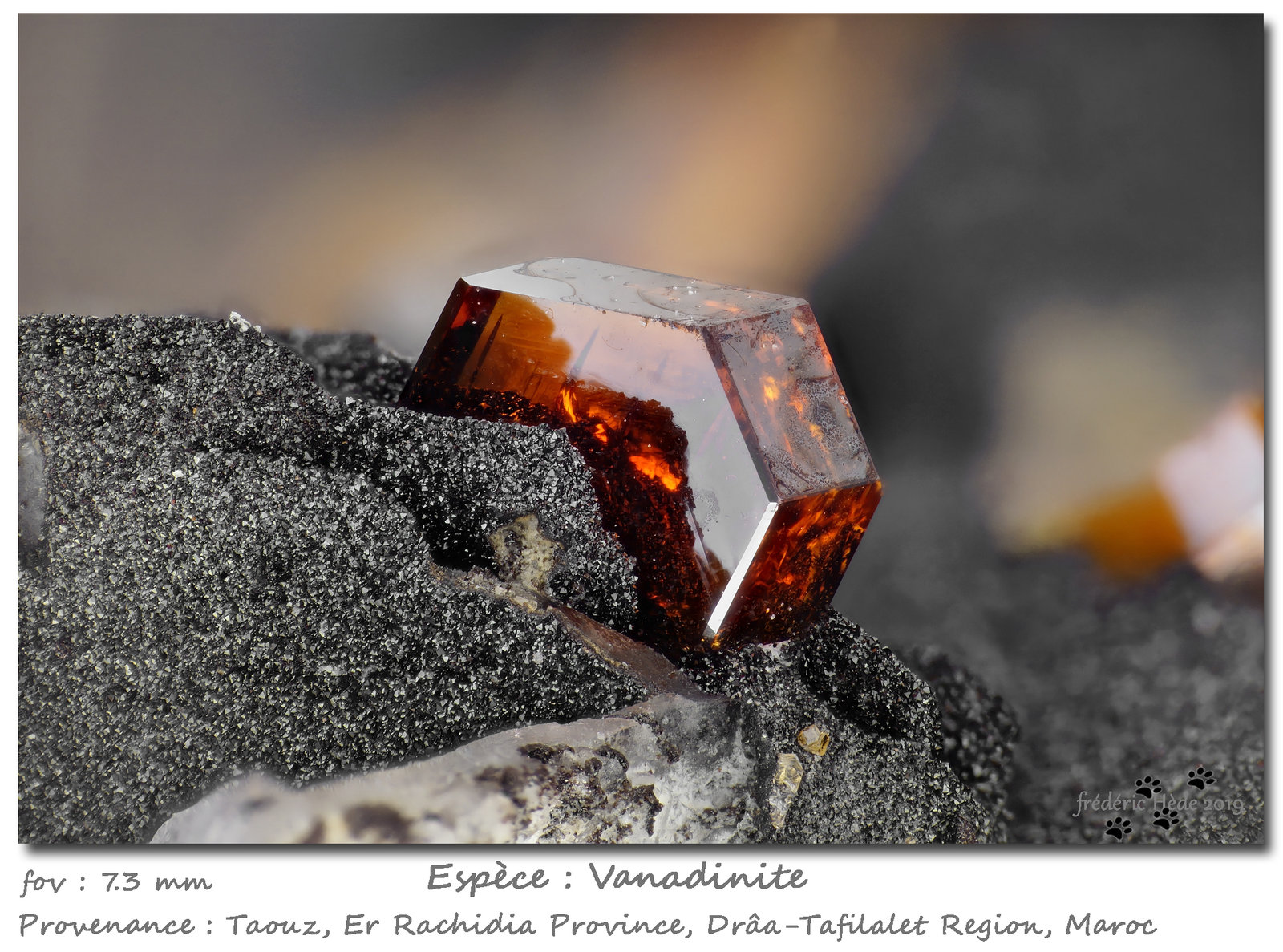 Vanadinite
fov 7.3 mm
(Autor: ploum)