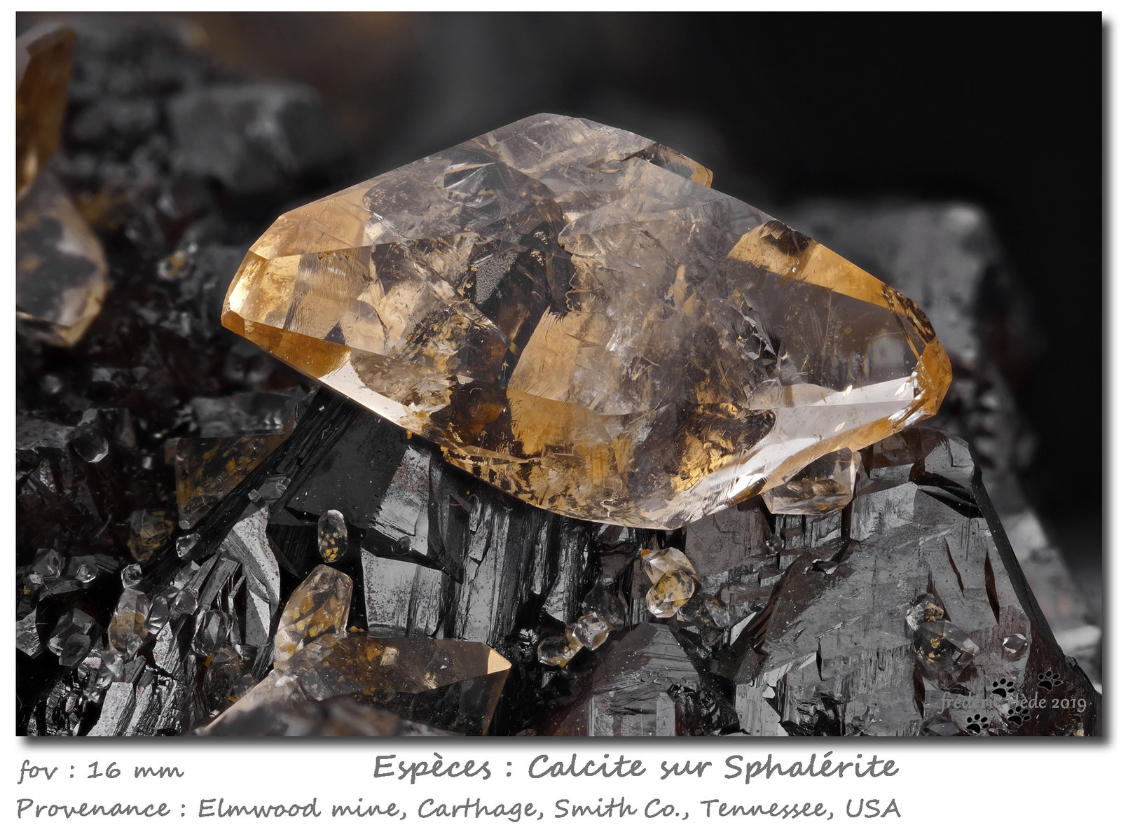Calcite, Sphalerite
fov 16 mm
(Autor: ploum)