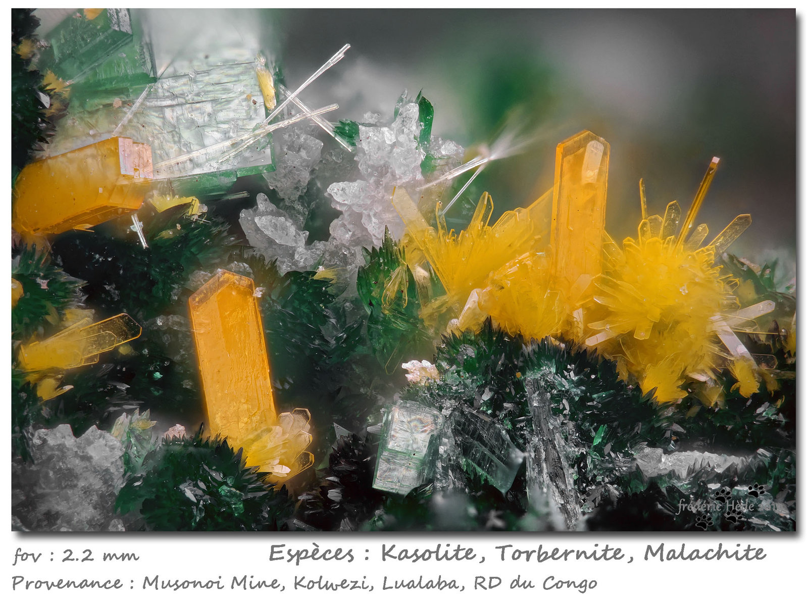 Kasolite
fov 2.2 mm
(Autor: ploum)