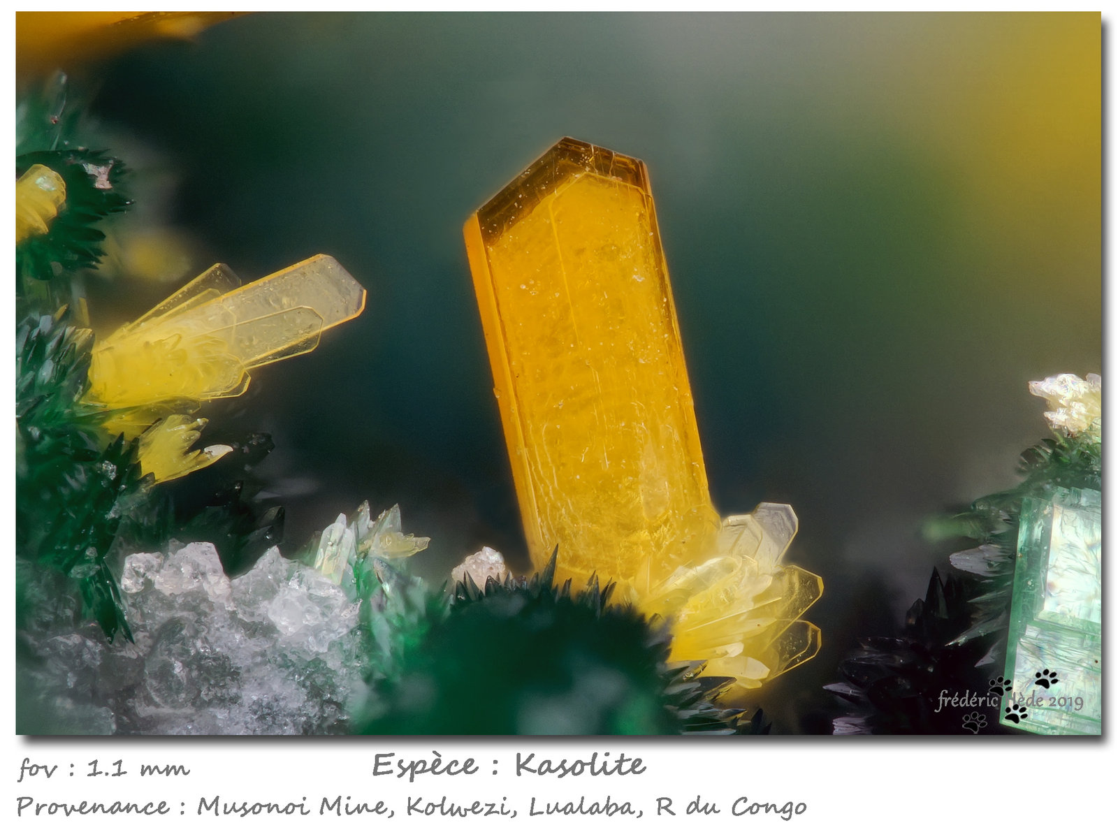Kasolite
fov 1.1 mm
(Autor: ploum)