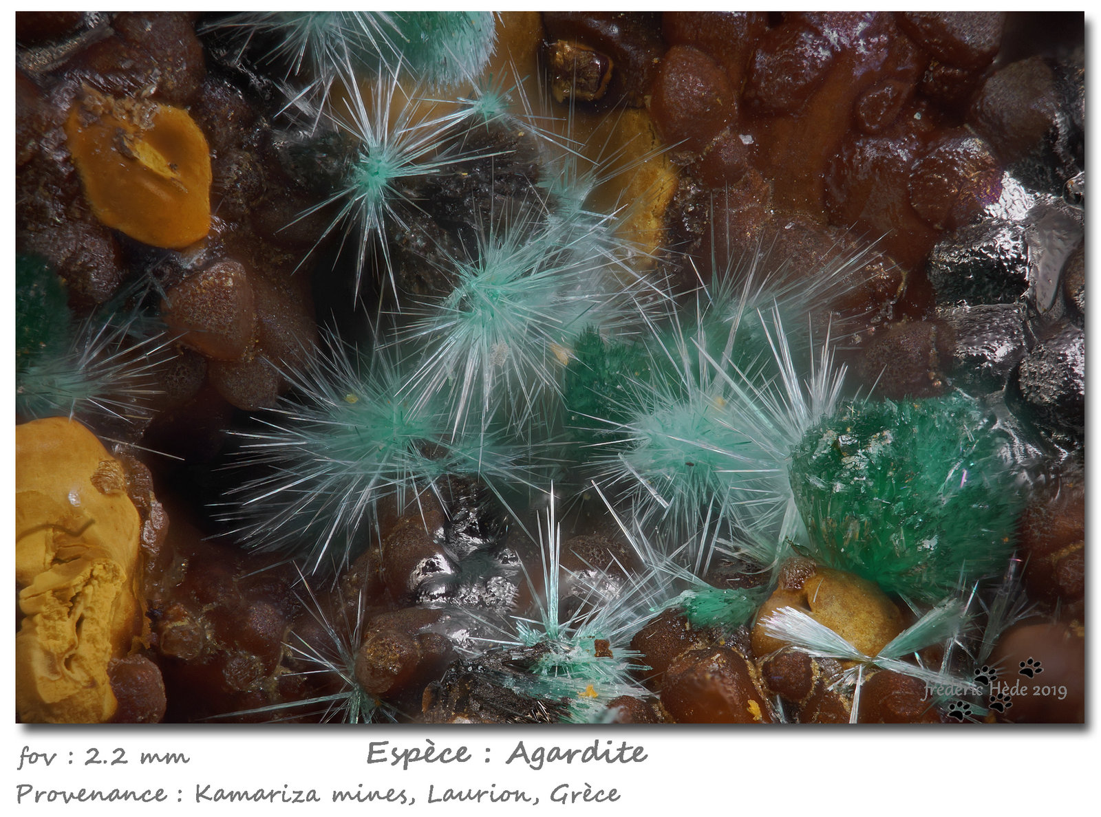 Agardite
fov 2.2 mm
(Autor: ploum)