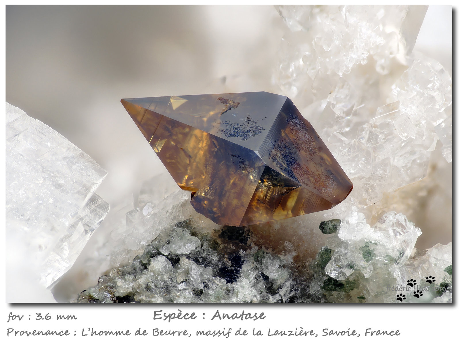 Anatase
fov 3.6 mm
(Autor: ploum)