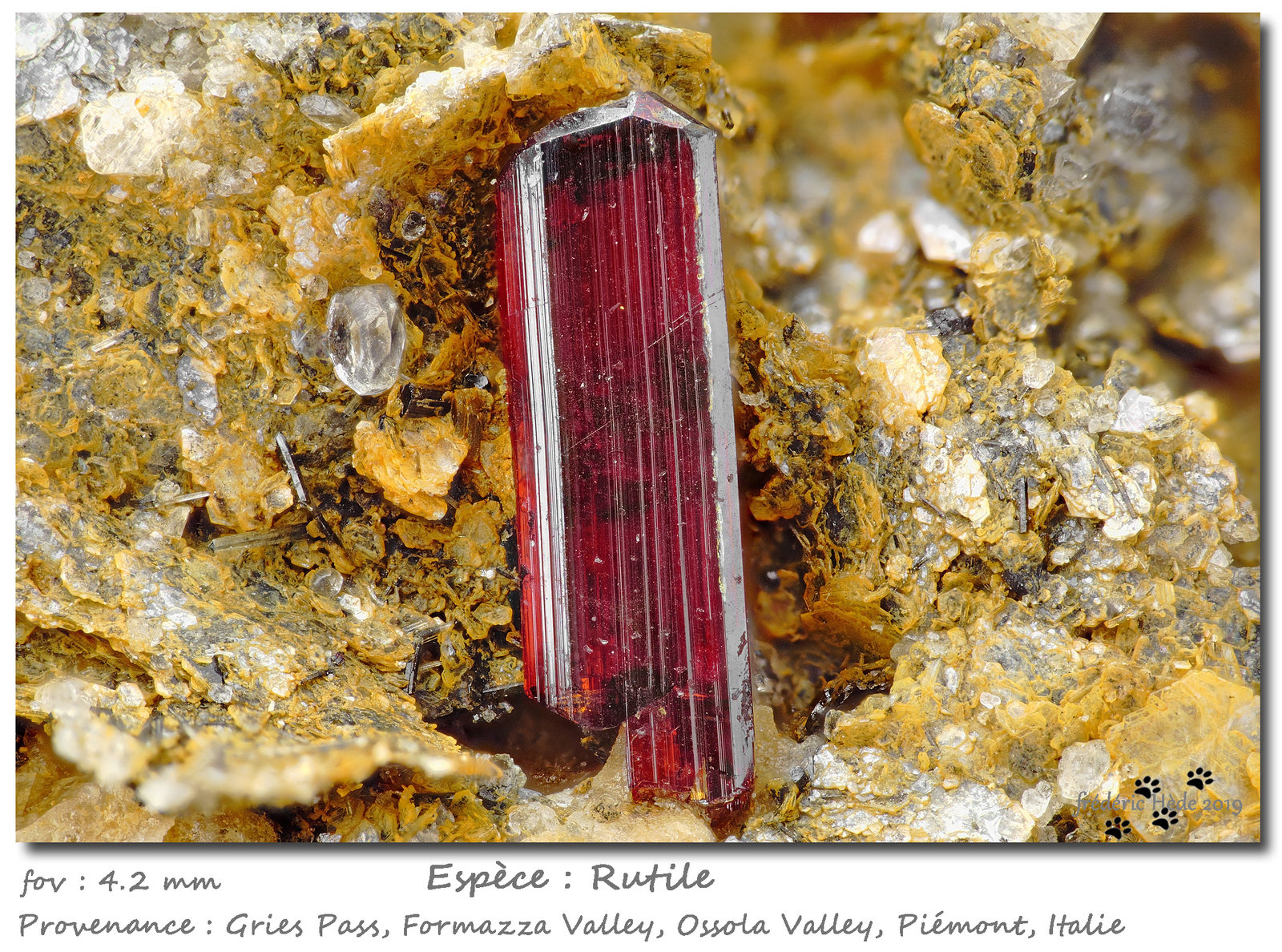 Rutile
fov 4.2 mm
(Autor: ploum)