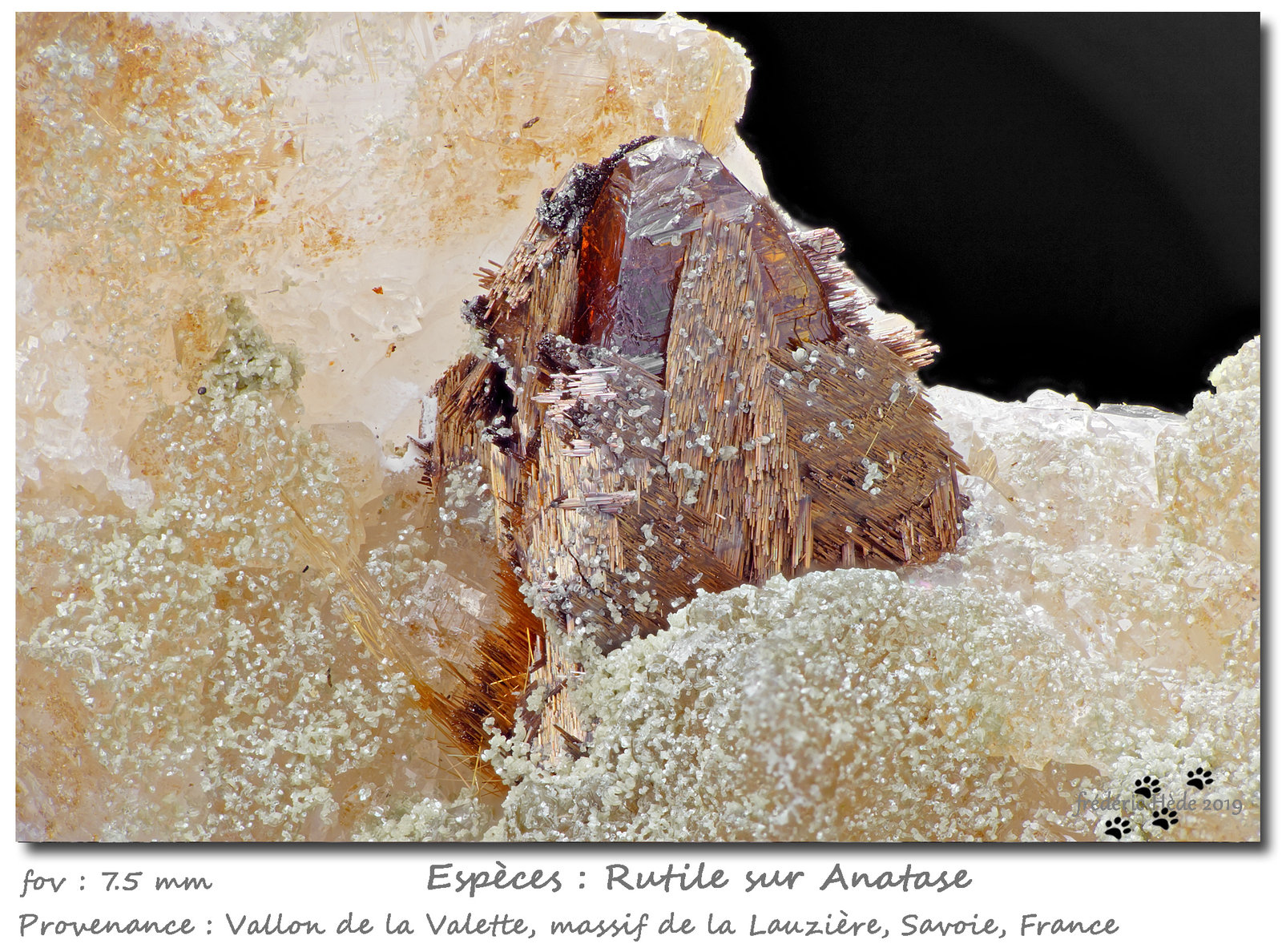 Anatase and Rutile
fov 7.5 mm
(Autor: ploum)