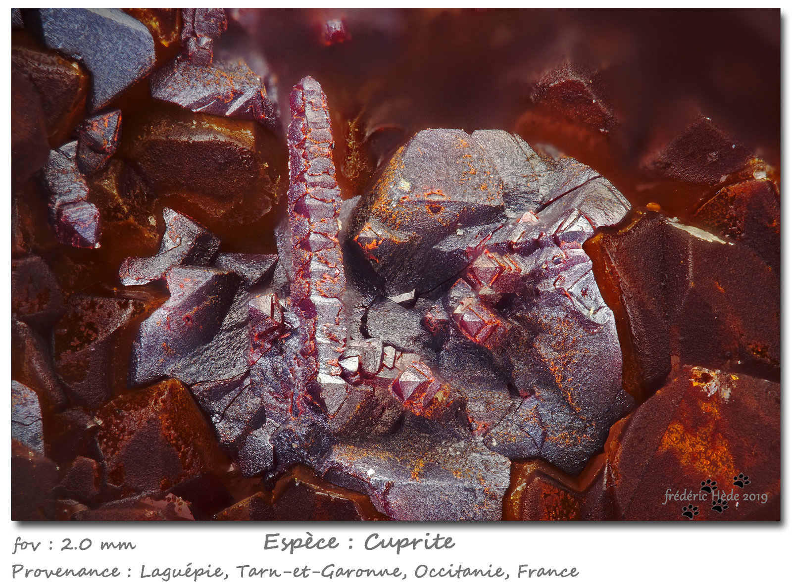 Cuprite
fov 2.0 mm
(Autor: ploum)
