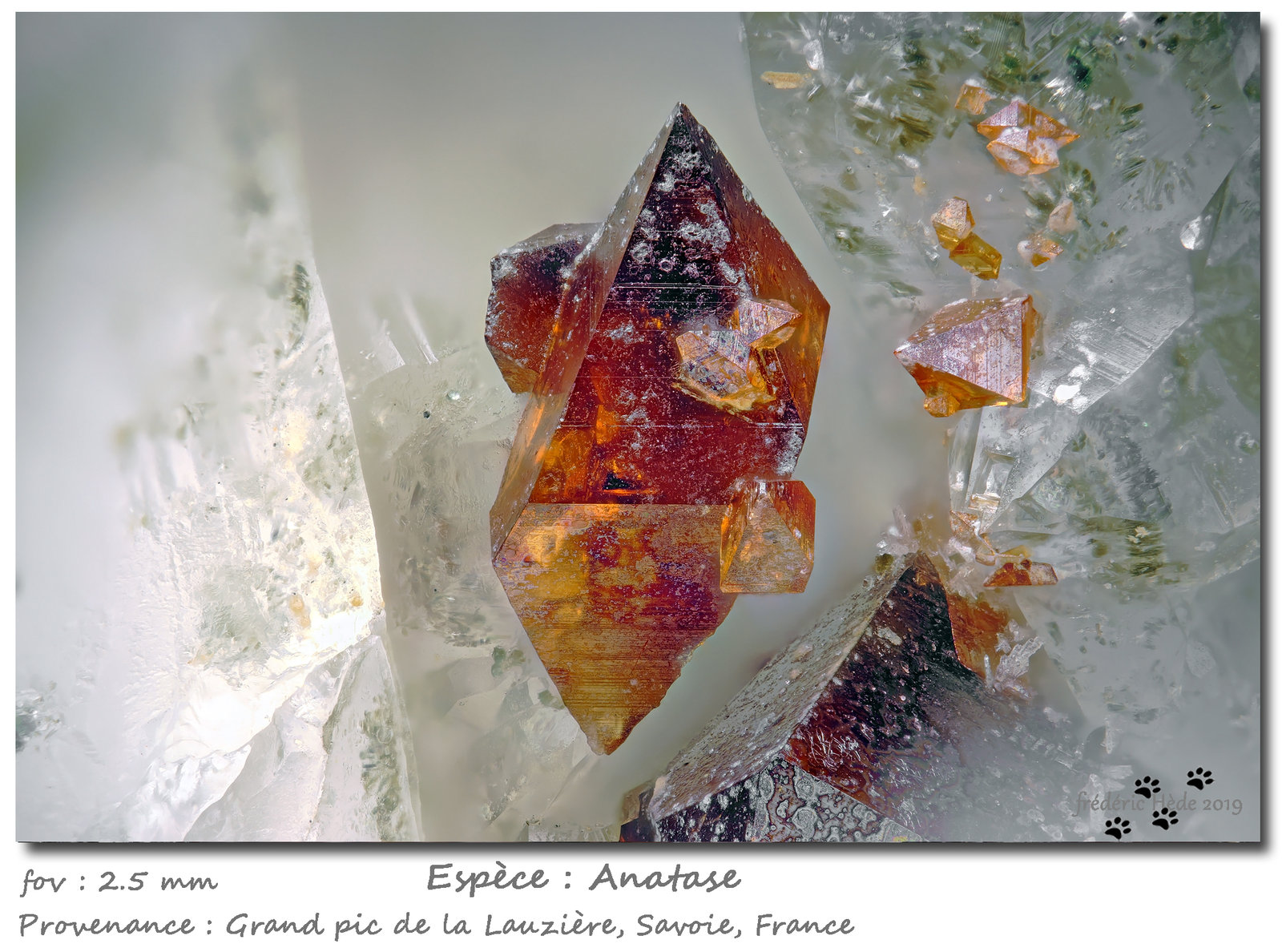Anatase
fov 2.5 mm
(Autor: ploum)