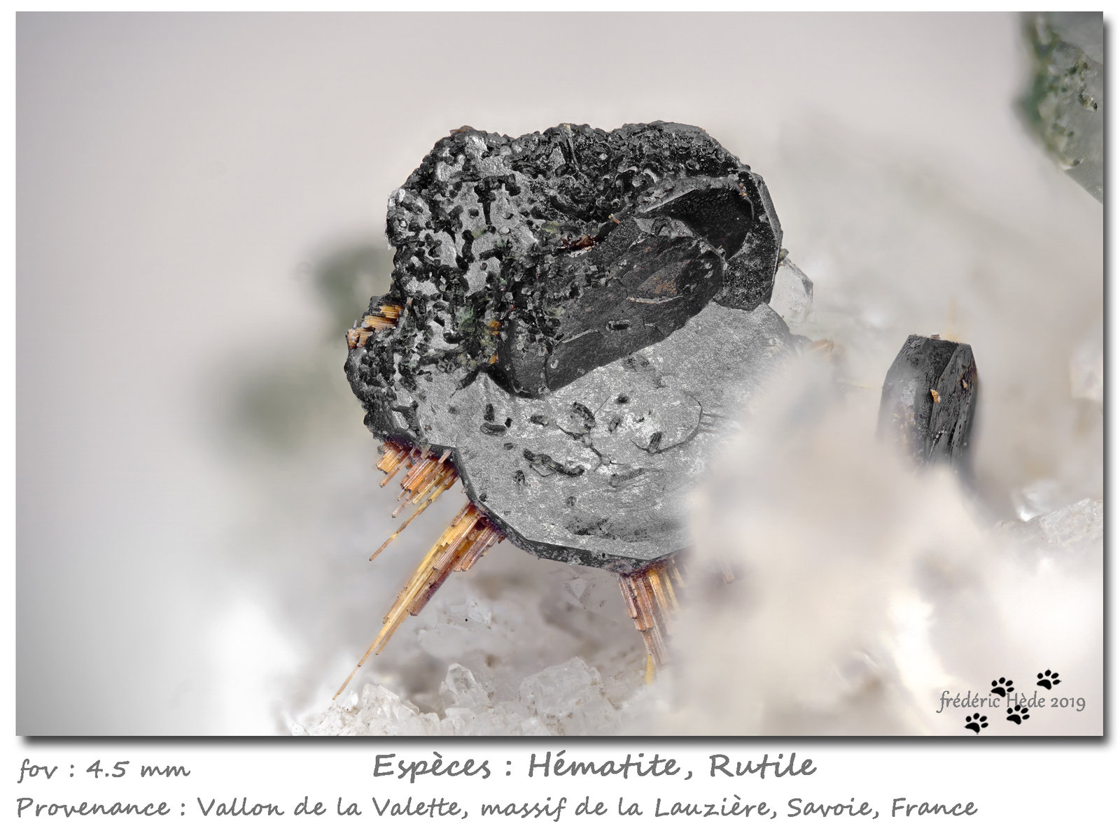 Hematite and Rutile
fov 4.5 mm
(Autor: ploum)