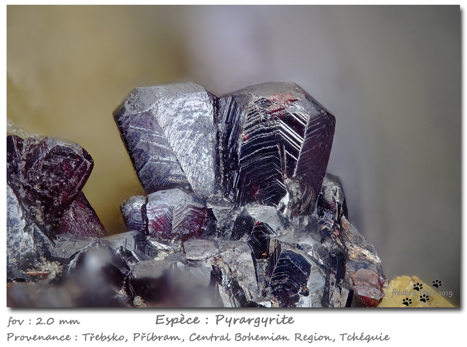 Pyrargyrite
fov 2.5 mm
(Autor: ploum)