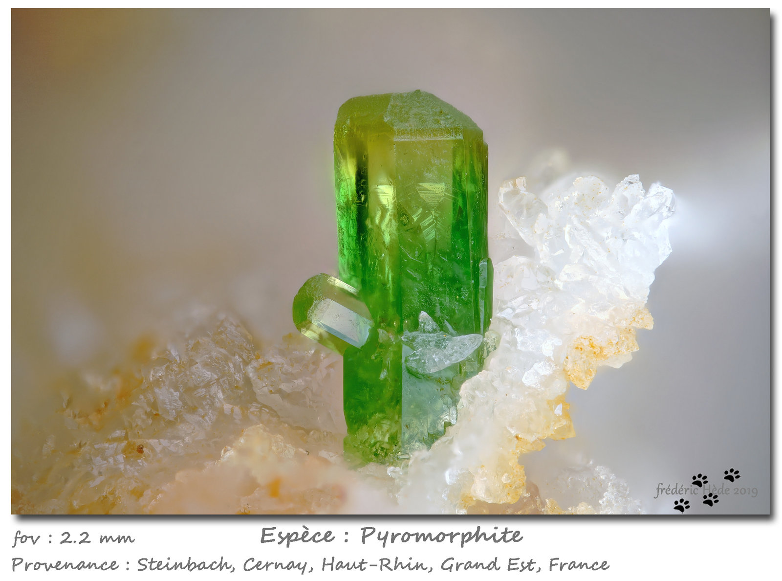 Pyromorphite
fov 2.2 mm
(Autor: ploum)