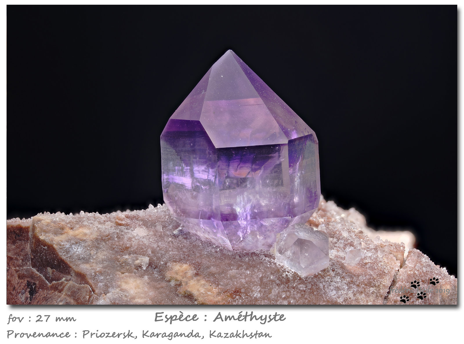 Quartz (variety amethyst)
fov 27 mm
(Autor: ploum)