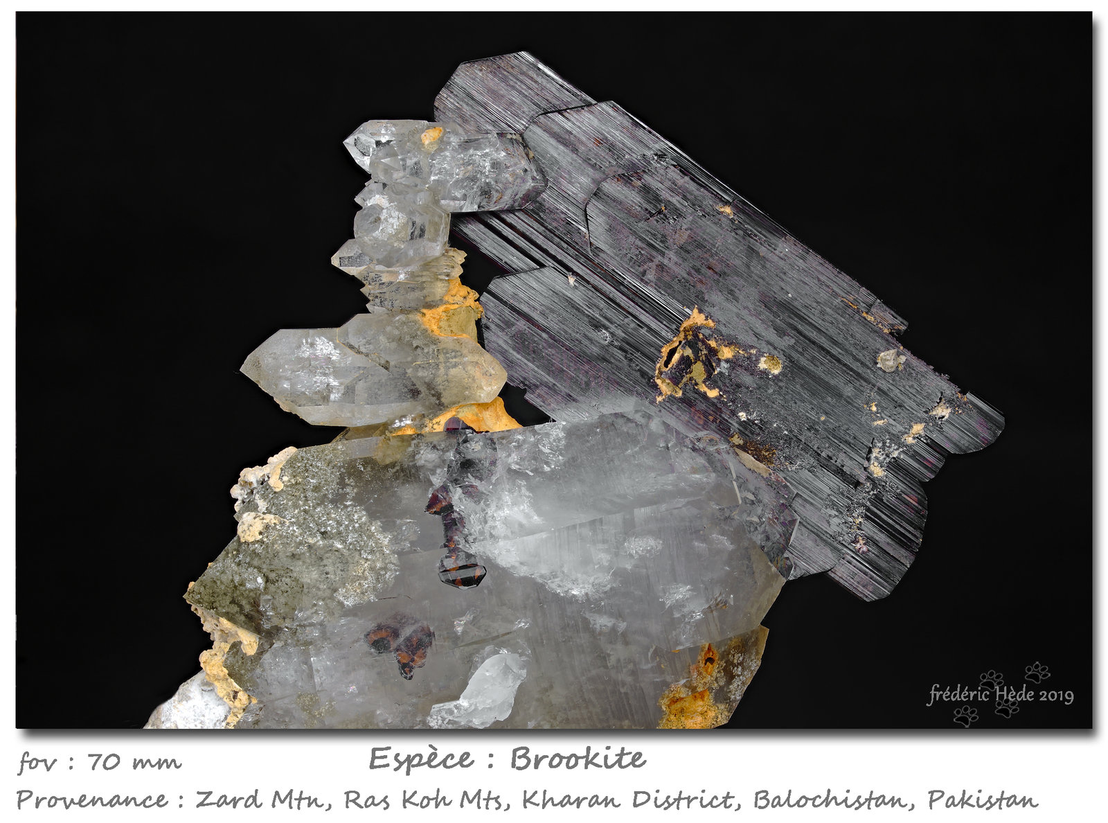 Brookite
fov 70 mm
(Autor: ploum)