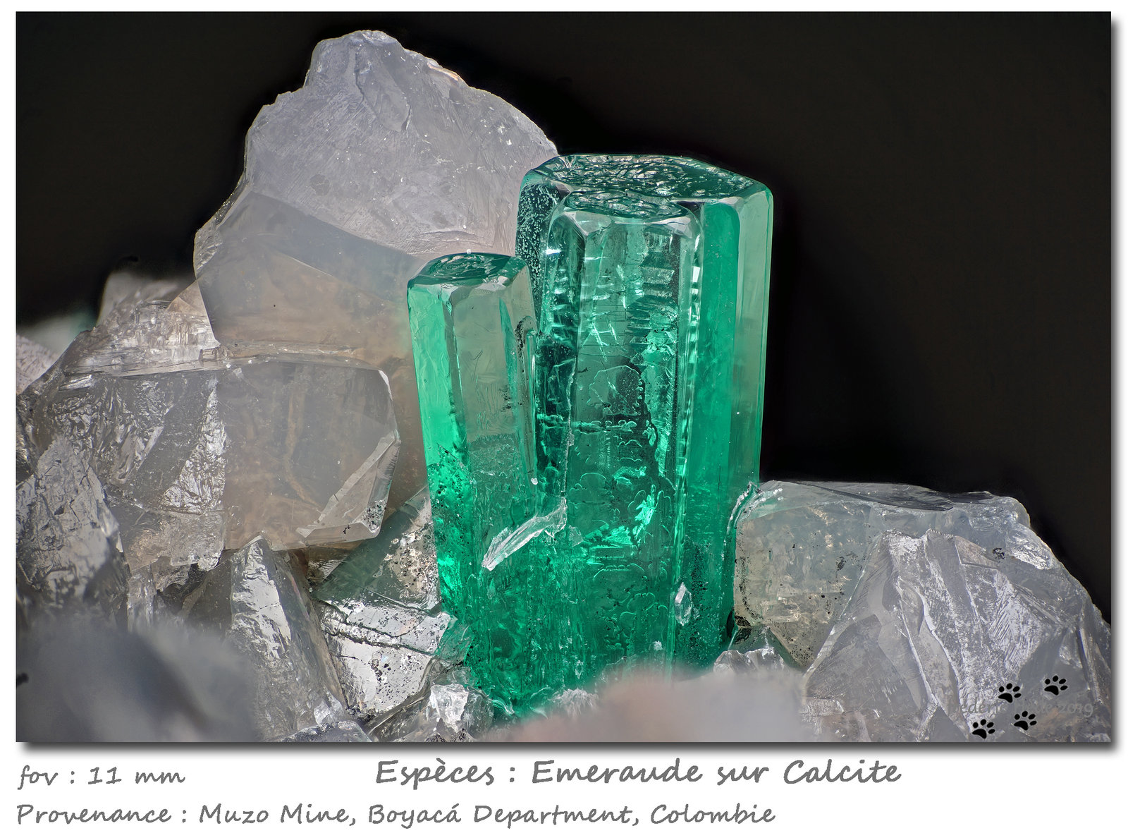 Beryl (variety emerald)
fov 11 mm
(Autor: ploum)