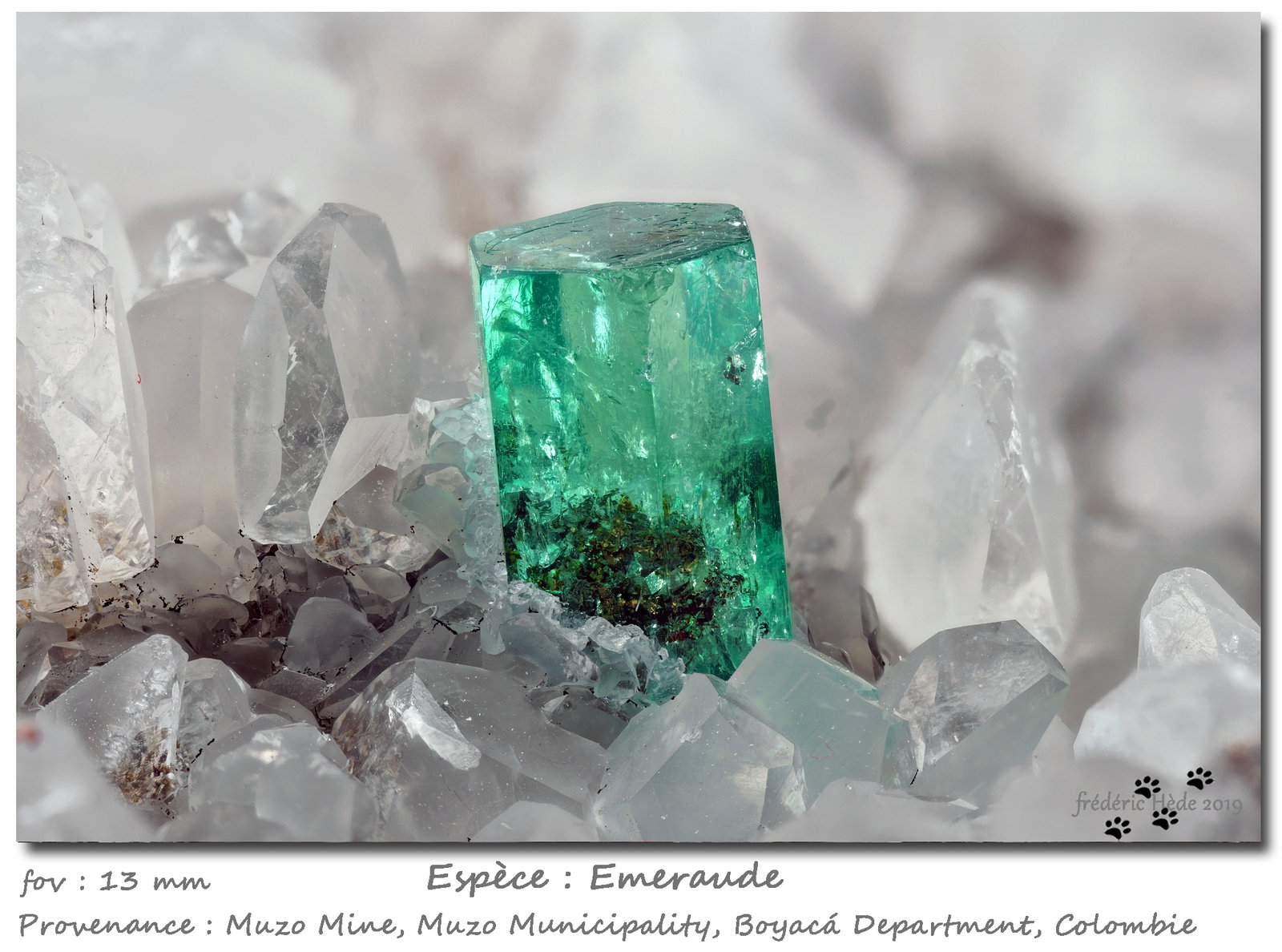 Beryl (variety emerald)
fov 13 mm
(Autor: ploum)