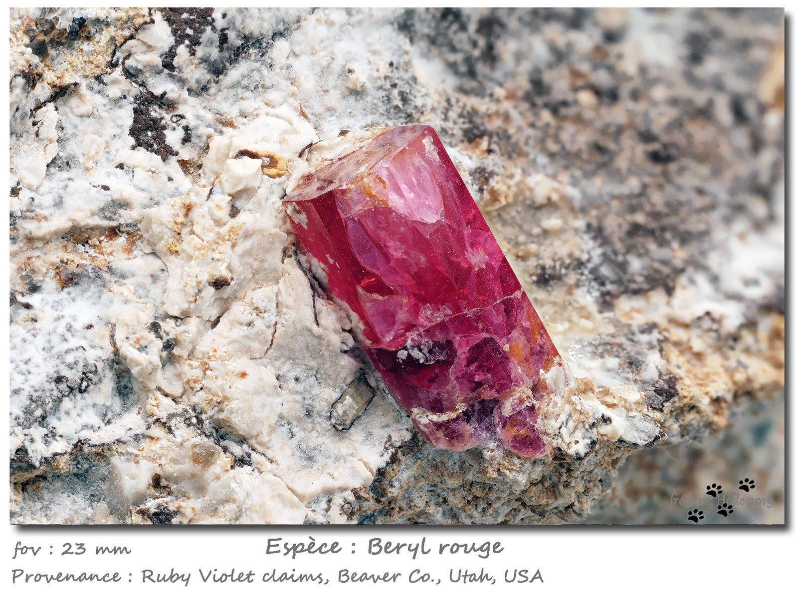 Beryl (variety red beryl)
(Autor: ploum)