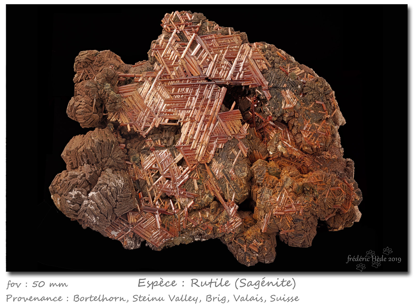 Rutile (variety sagenite)
fov 50 mm
(Autor: ploum)
