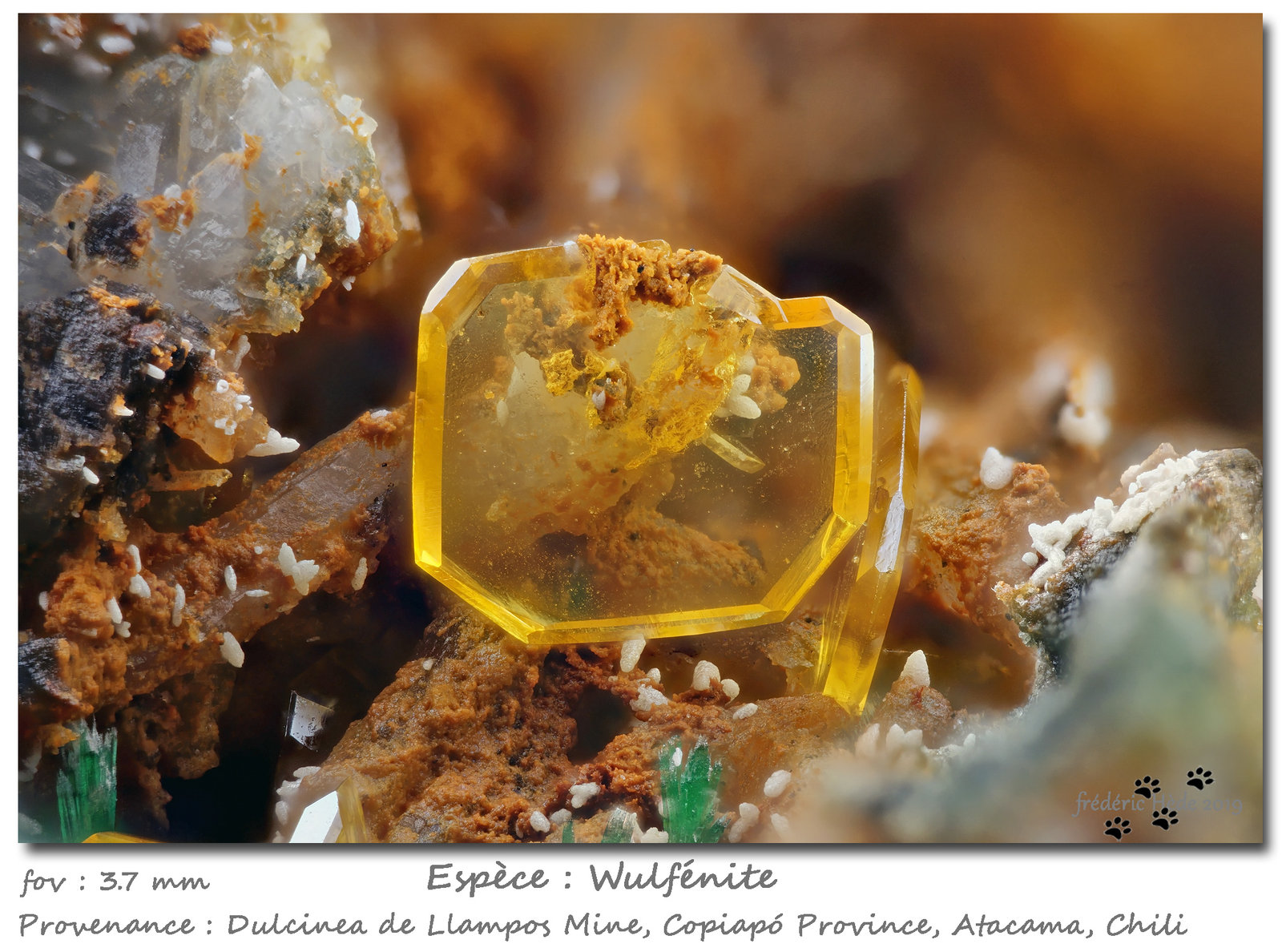Wulfenite
fov 3.7 mm
(Autor: ploum)
