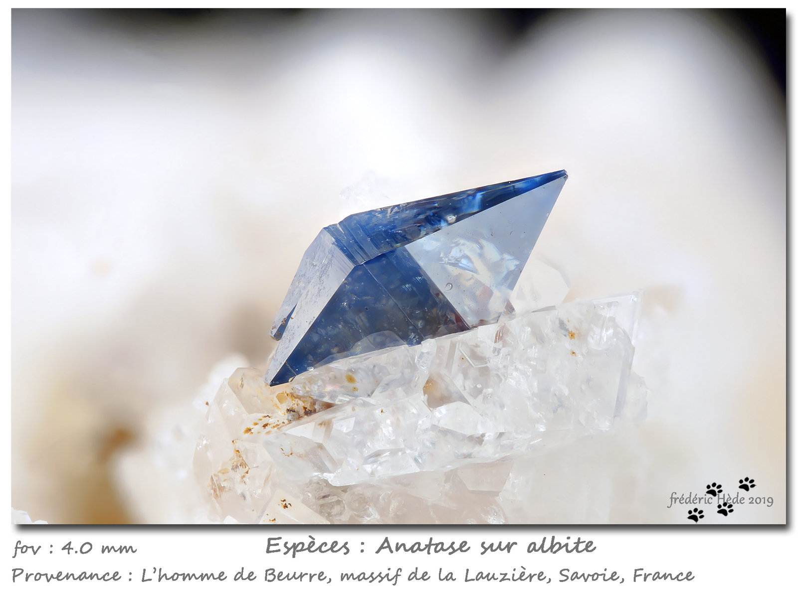 Anatase on Albite
fov 4.0 mm
(Autor: ploum)