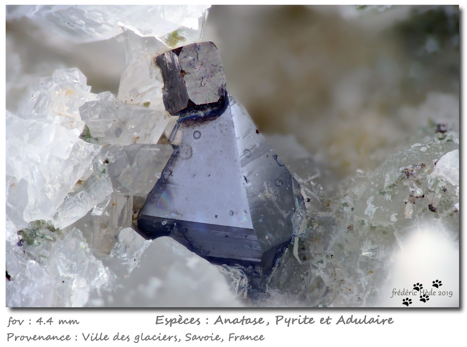 Anatase, Pyrite
fov 4.4 mm
(Autor: ploum)