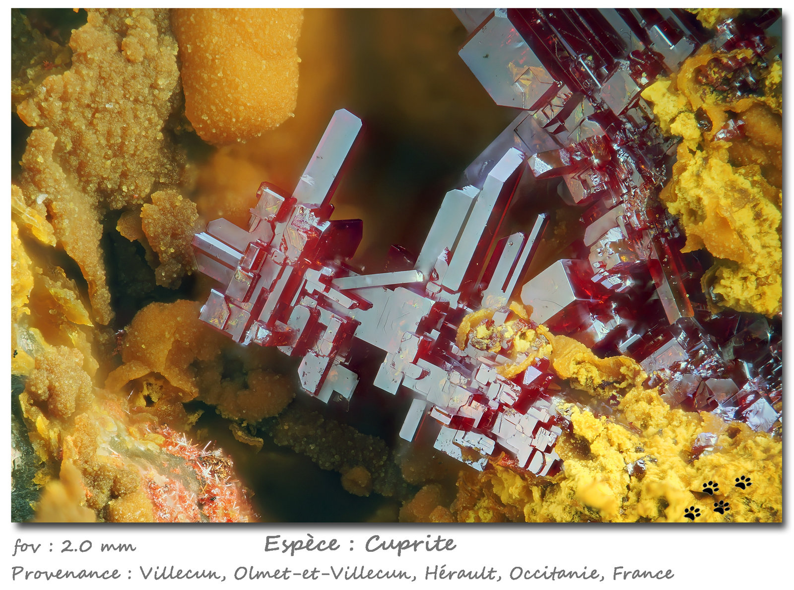 Cuprite
fov 2 mm
(Autor: ploum)