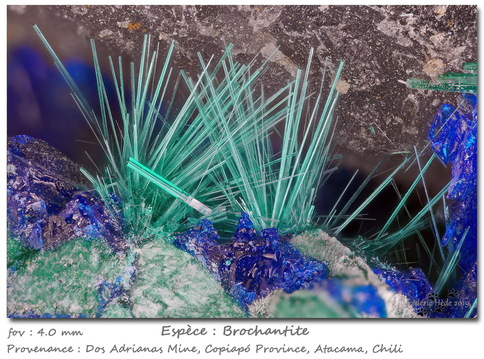 Brochantite
fov 4.0 mm
(Autor: ploum)