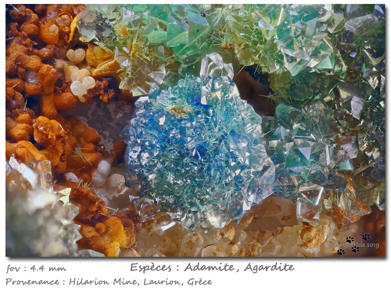 Adamite with 'Agardite'
fov 4.4 mm
(Autor: ploum)