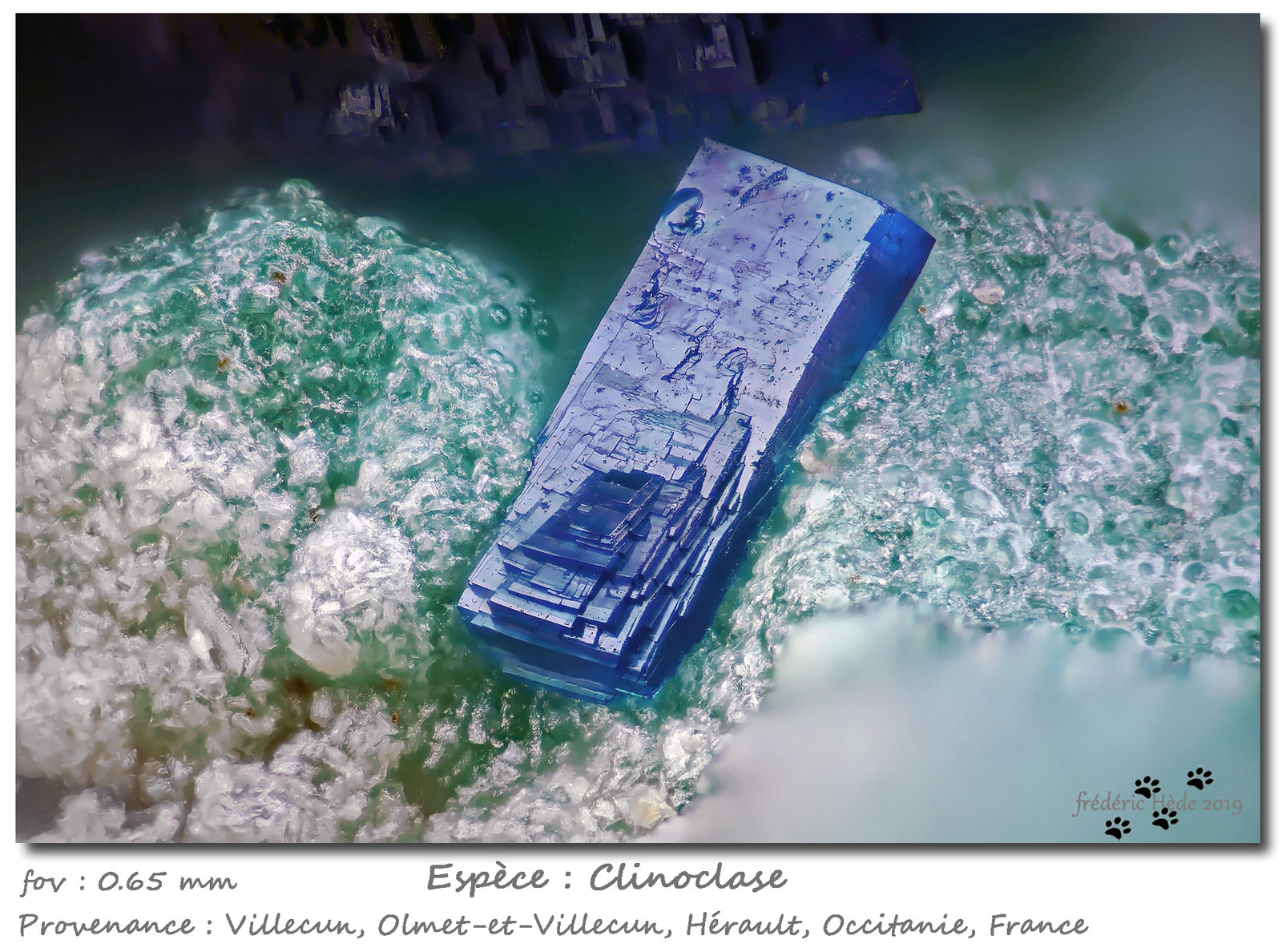 Clinoclase
fov 0.65 mm
(Autor: ploum)
