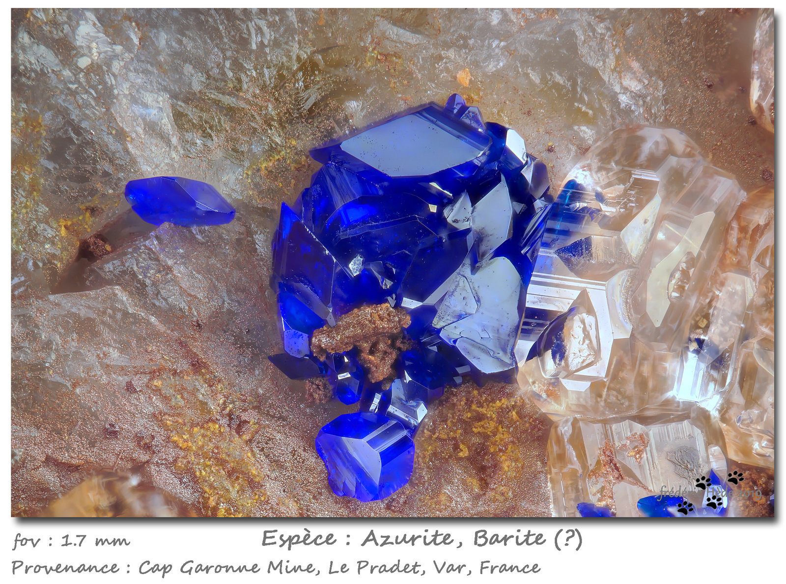 Azurite and Baryte
fov 1.7 mm
(Autor: ploum)
