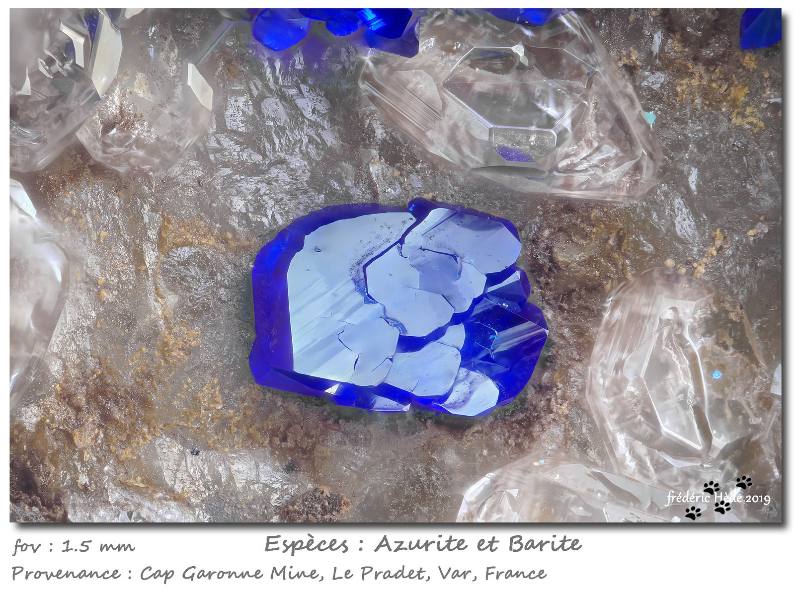 Azurite and Baryte
fov 1.5 mm
(Autor: ploum)