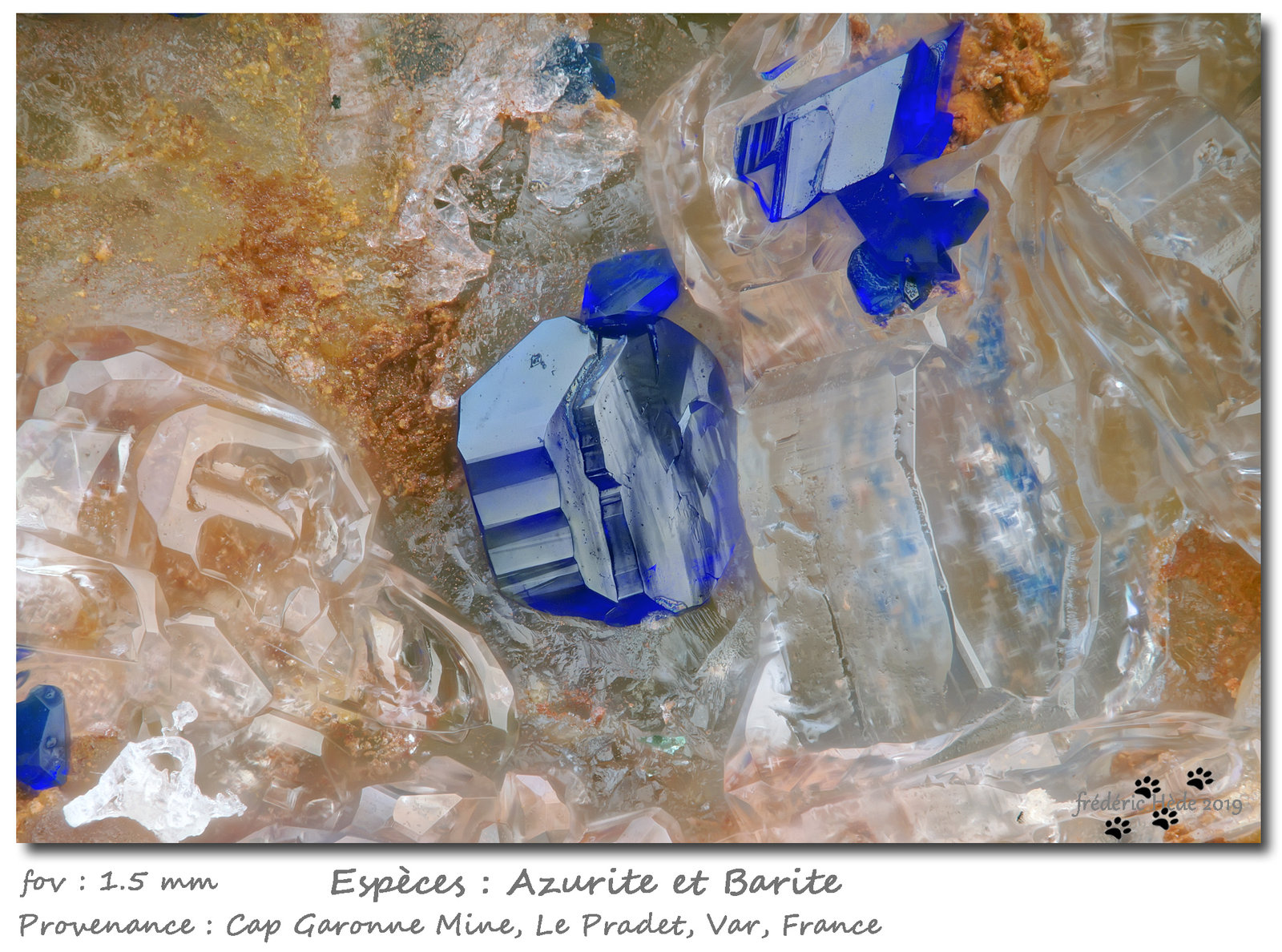 Azurite and Barite
fov 1.5 mm
(Autor: ploum)