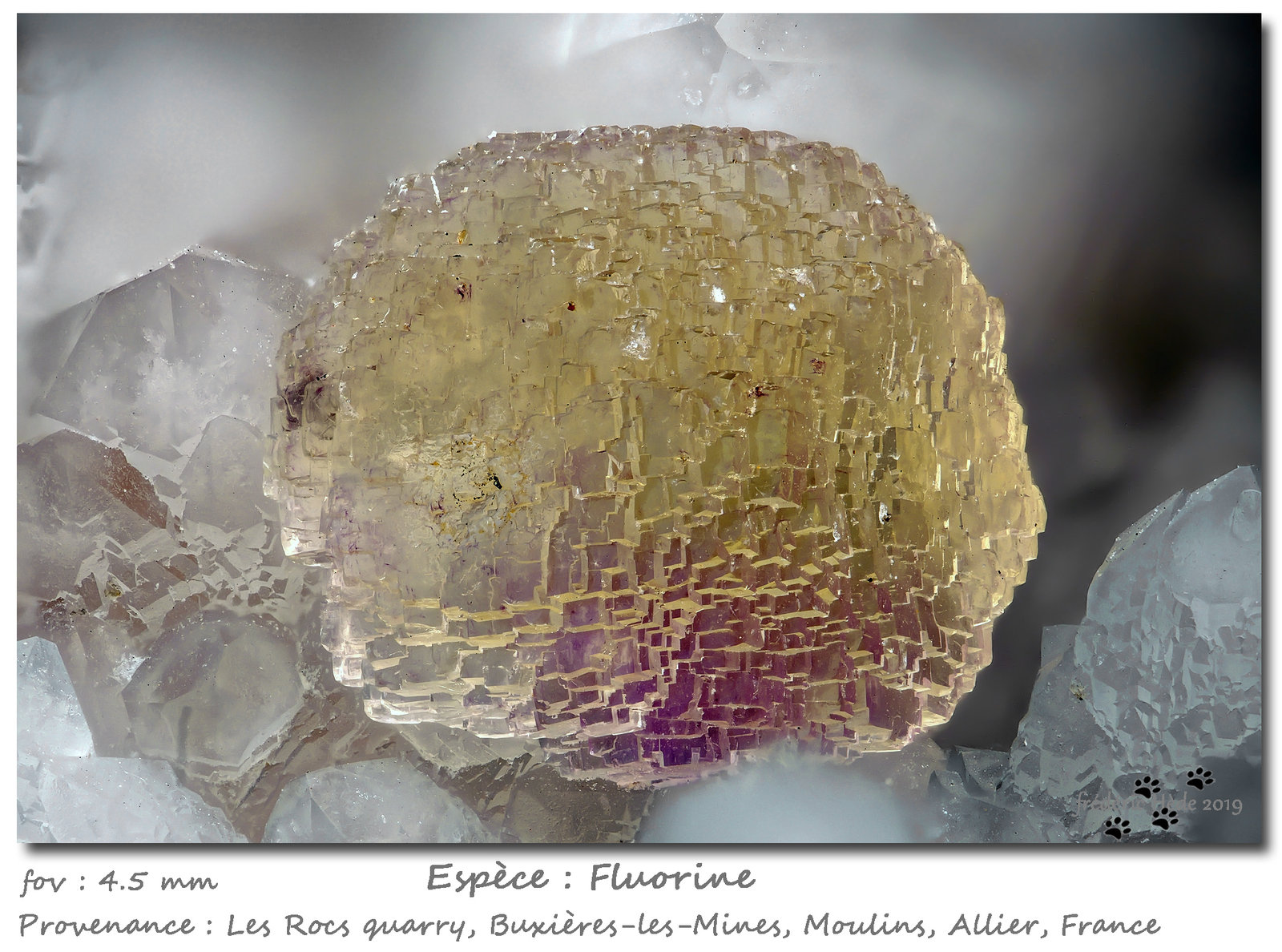 Fluorite
fov 4.5 mm
(Autor: ploum)