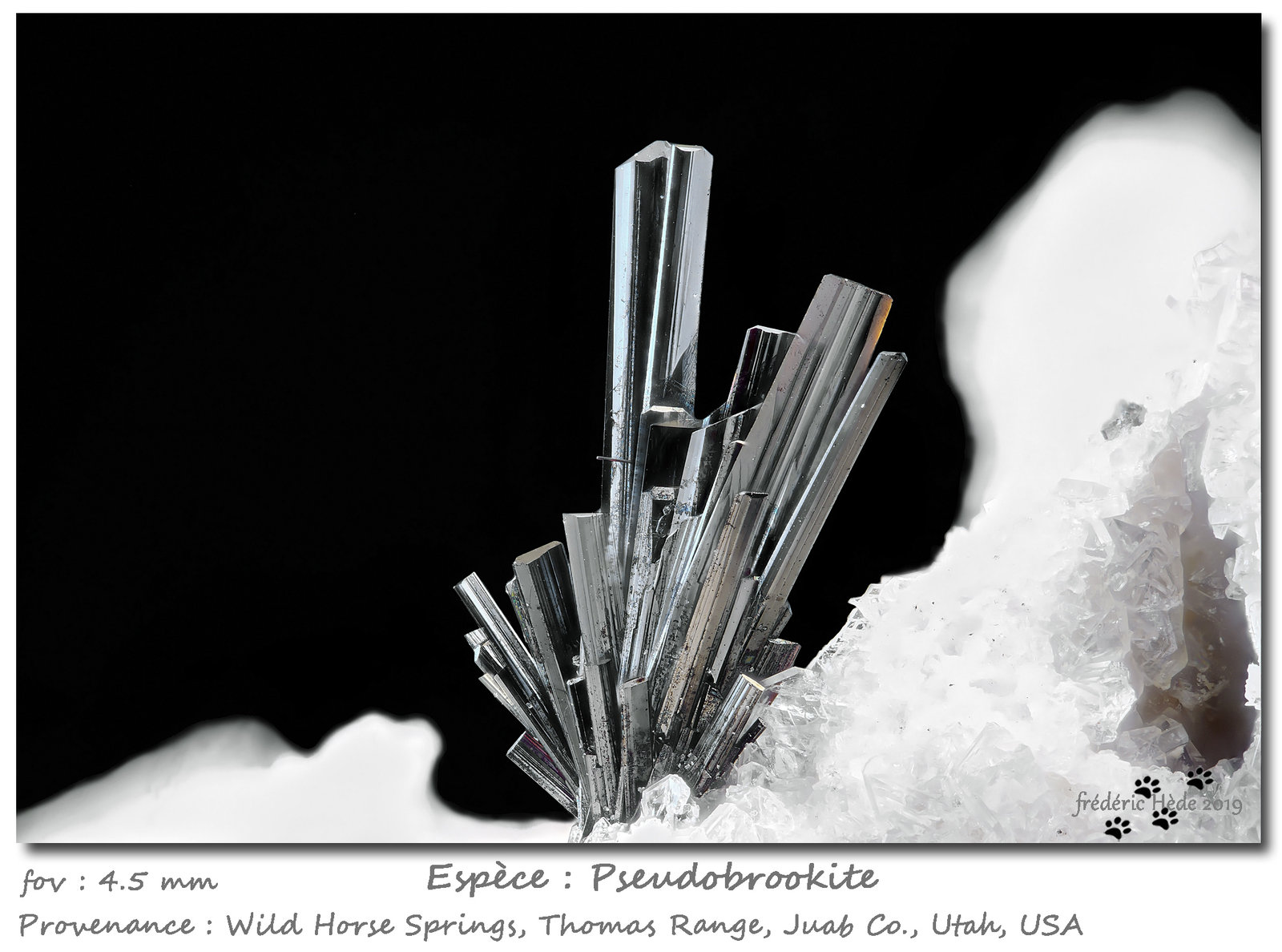 Pseudobrookite
fov 4.5 mm
(Autor: ploum)