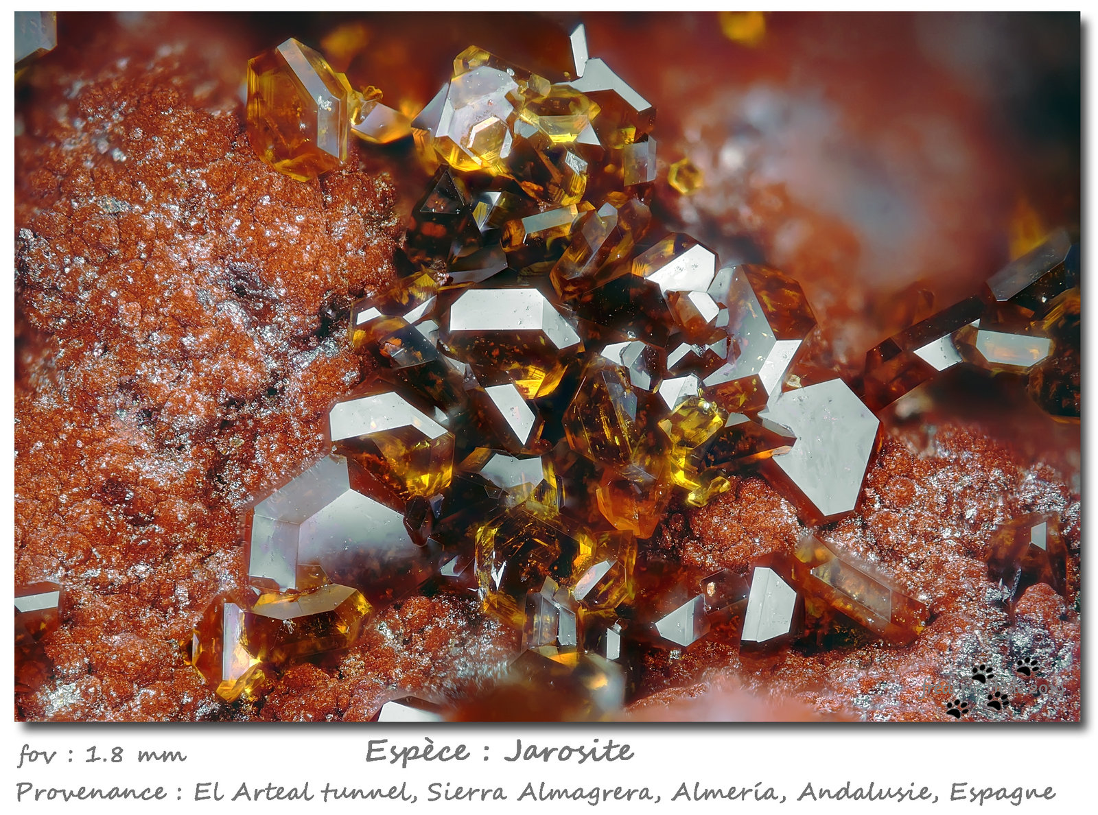 Jarosite
fov 1.8 mm
(Autor: ploum)