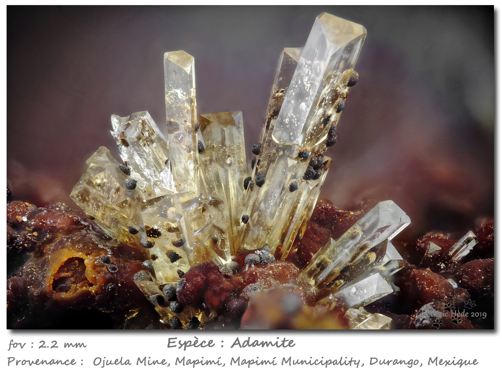 Adamite with Goethite
fov 2.2 mm
(Autor: ploum)