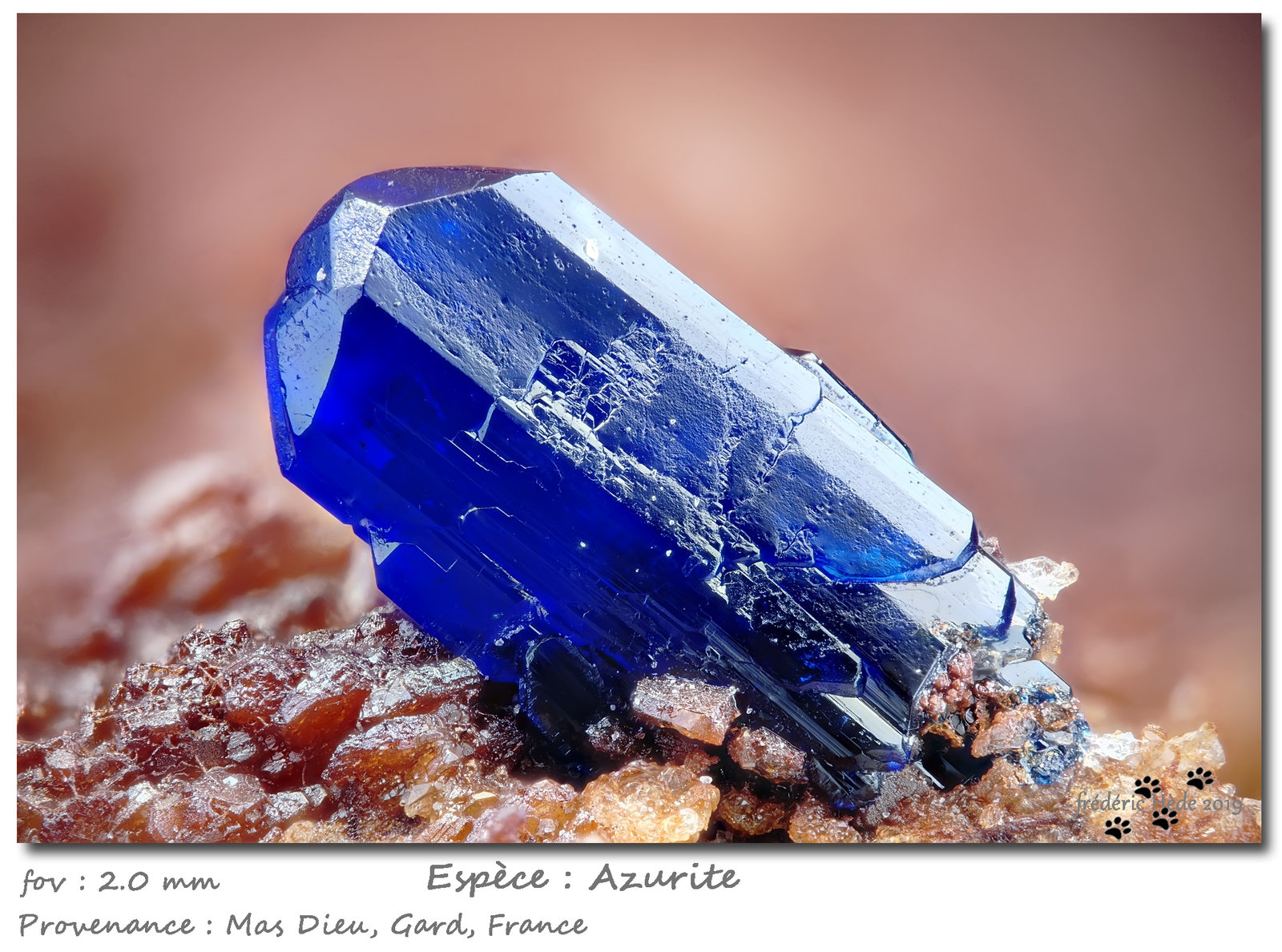 Azurite
fov 2 mm
(Autor: ploum)