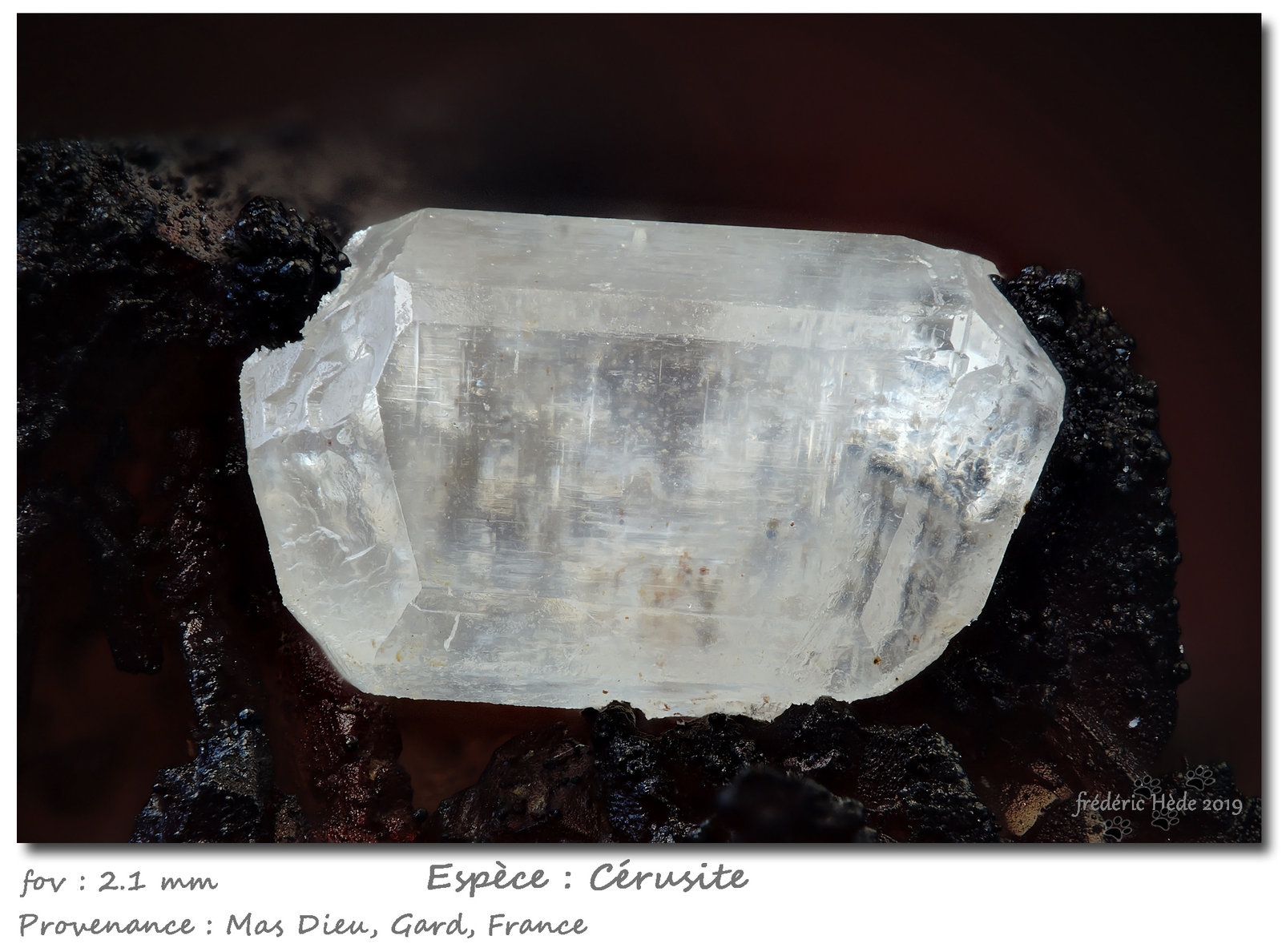 Cerussite
fov 2.1 mm
(Autor: ploum)