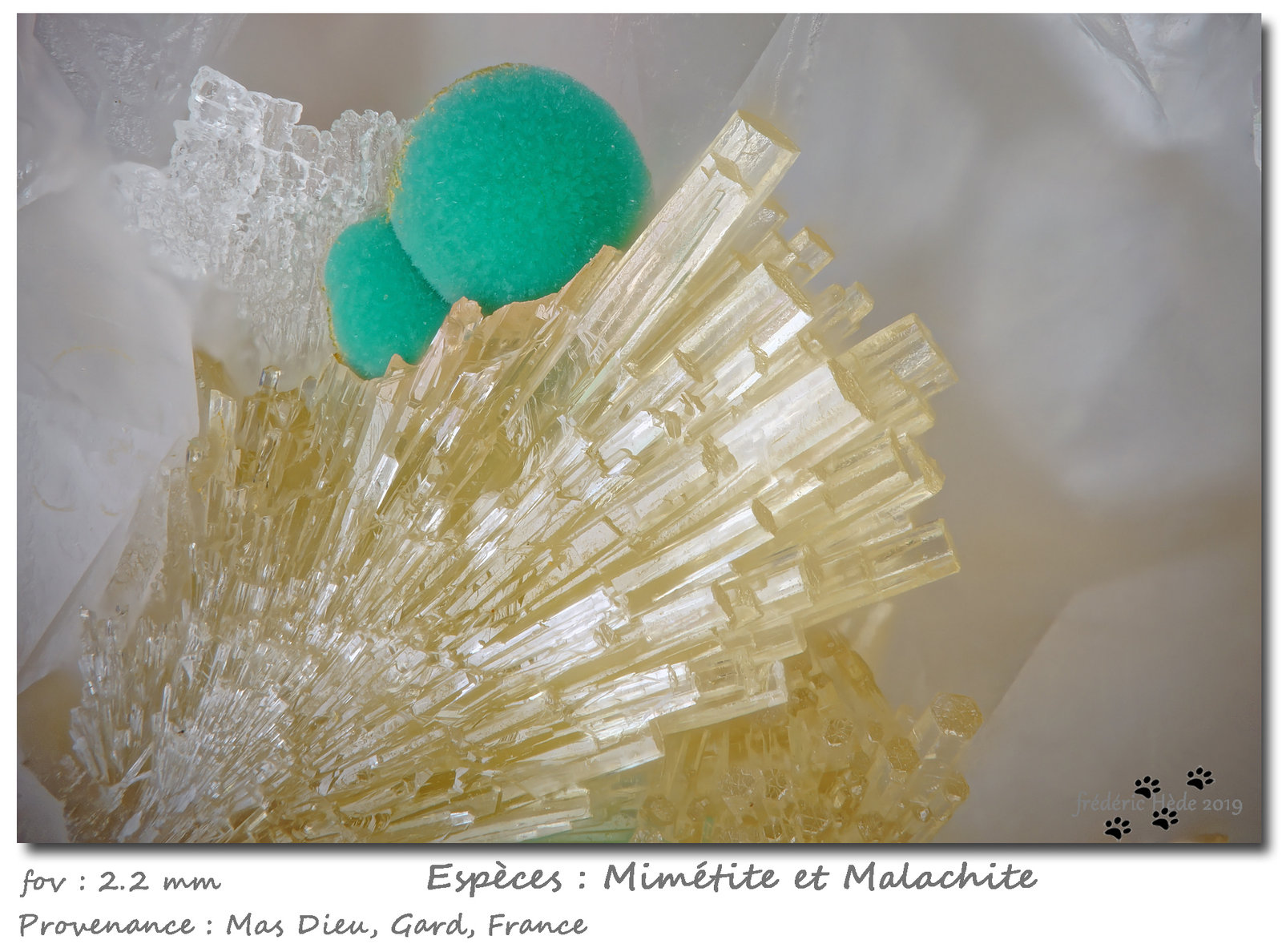 Mimetite and Malachite
fov 2.2 mm
(Autor: ploum)