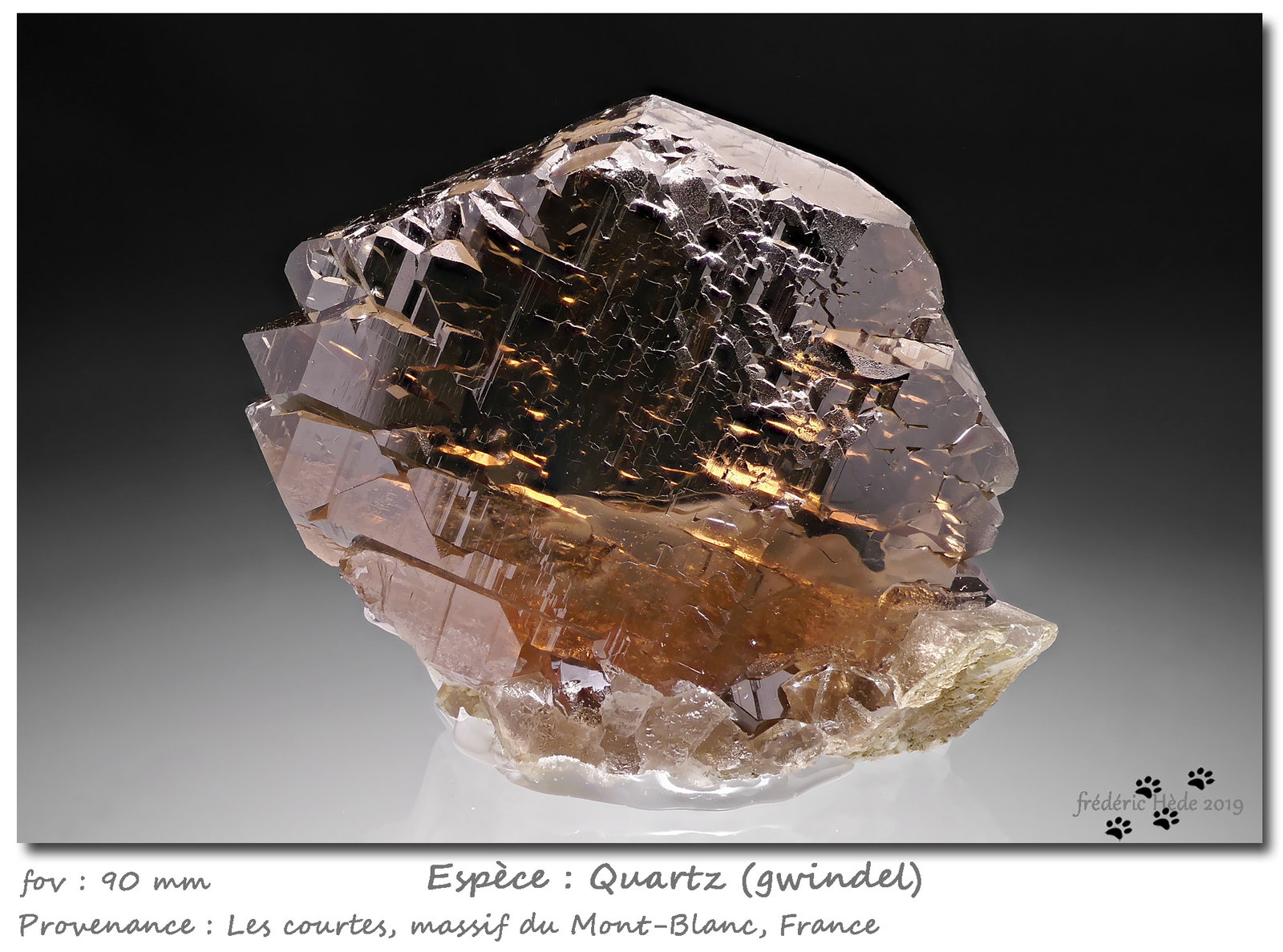 Quartz (variety gwindel)
90 mm
(Autor: ploum)