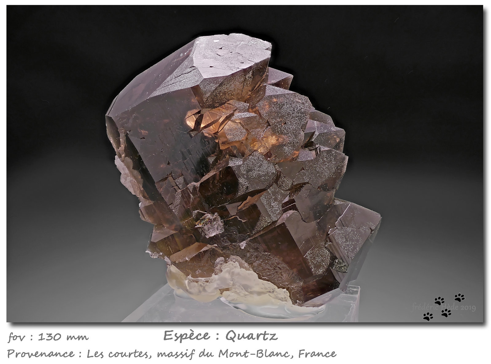 Quartz (variety gwindel)
fov 130 mm
(Autor: ploum)