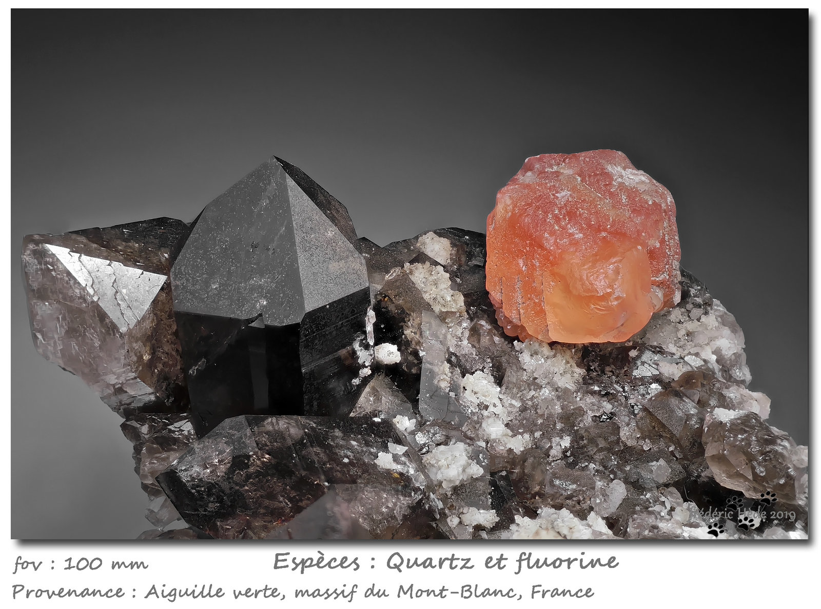 Fluorite on Quartz (variety smoky)
fov 100 mm
(Autor: ploum)