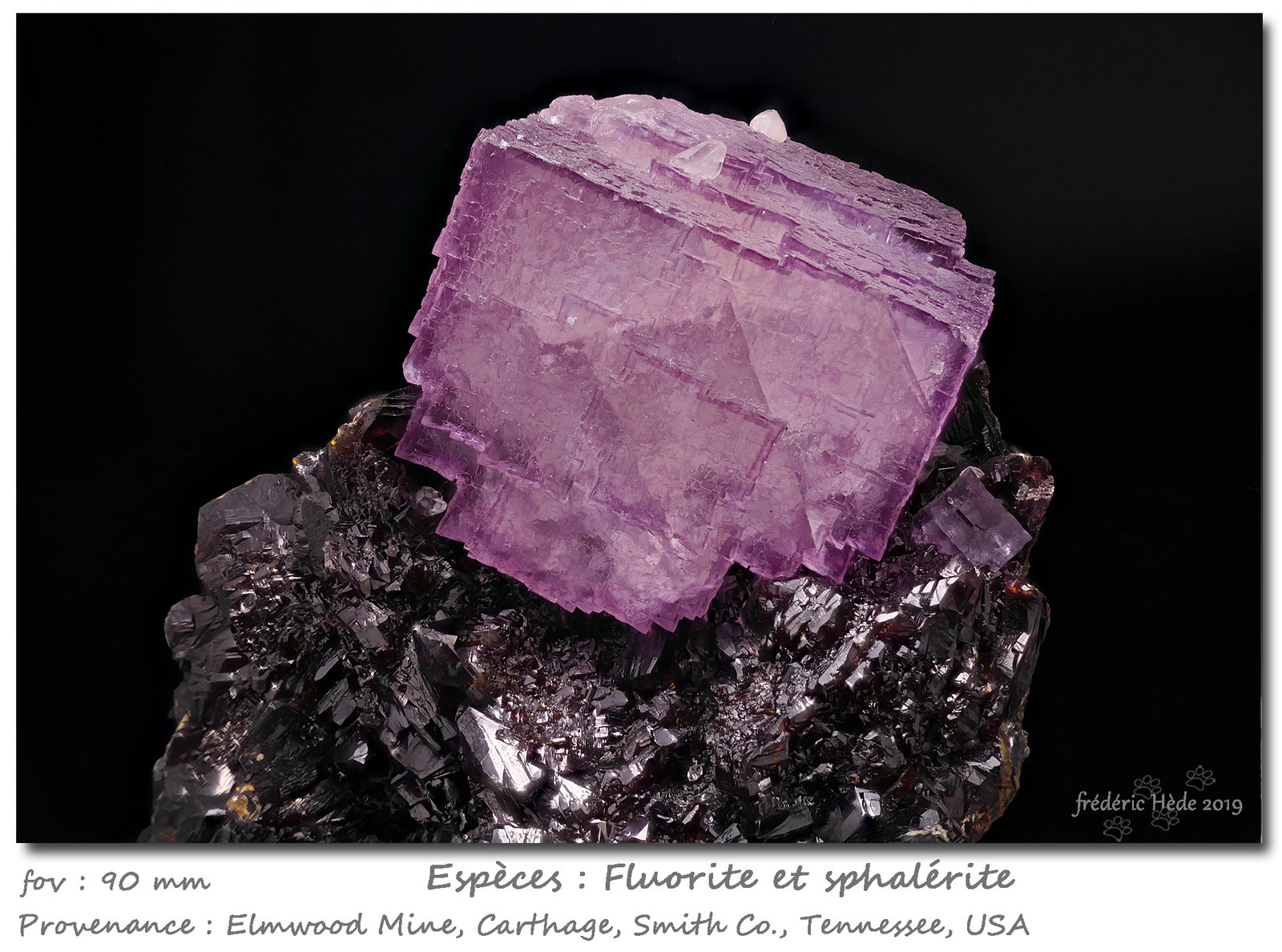 Fluorite on Sphalerite
fov 90 mm
(Autor: ploum)