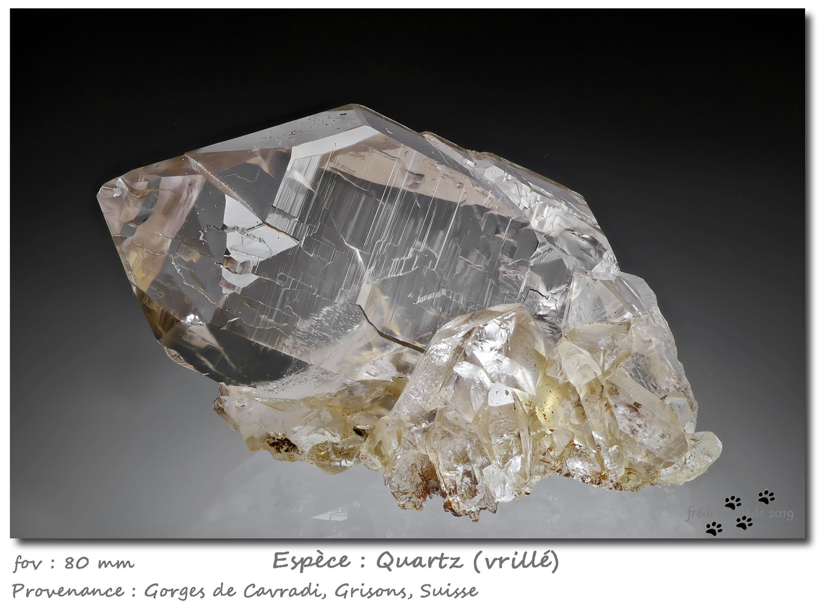 Quartz (variety smoky)
fov 80 mm
(Autor: ploum)