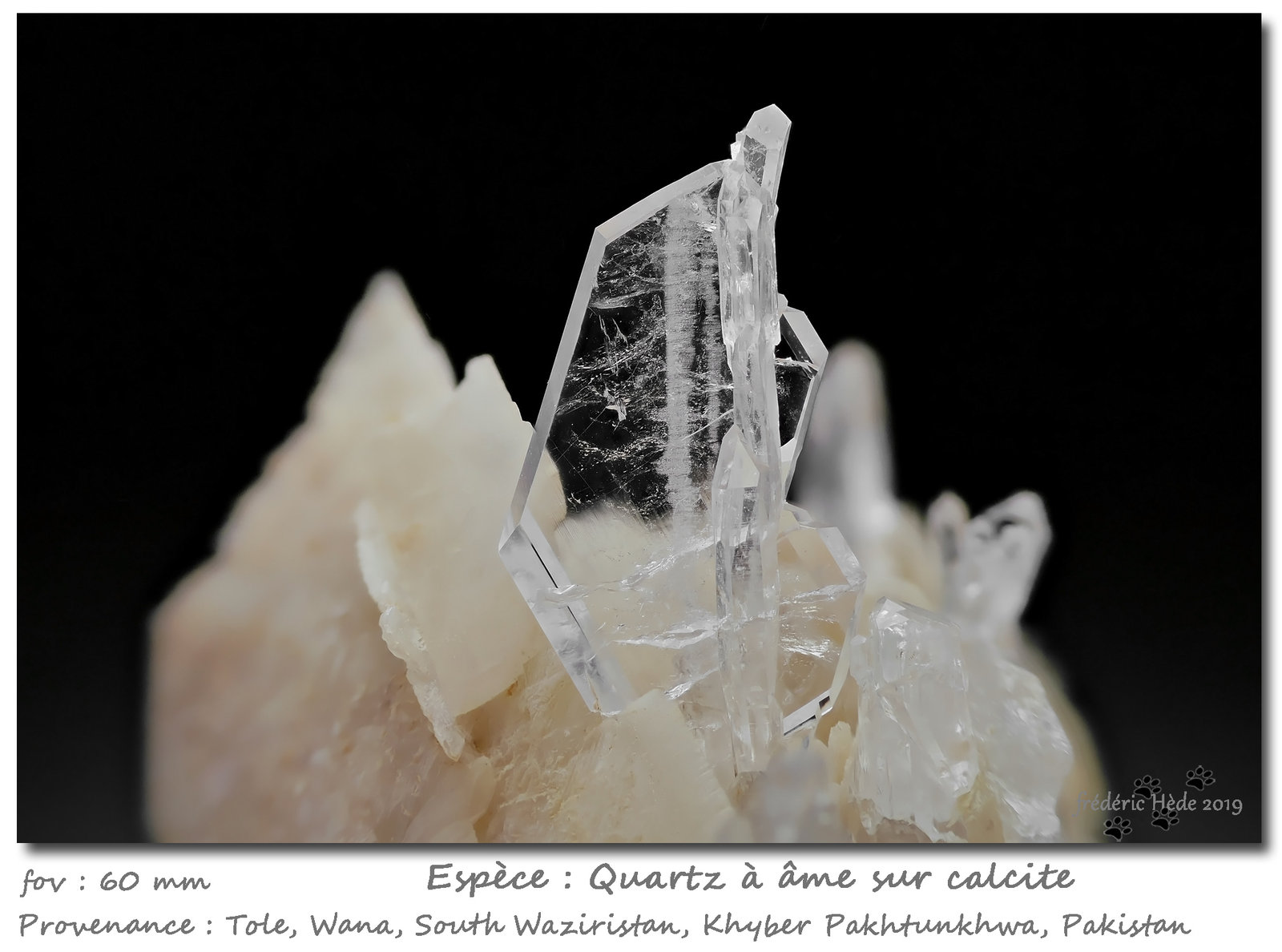 Quartz (variety faden)
fov 60 mm
(Autor: ploum)