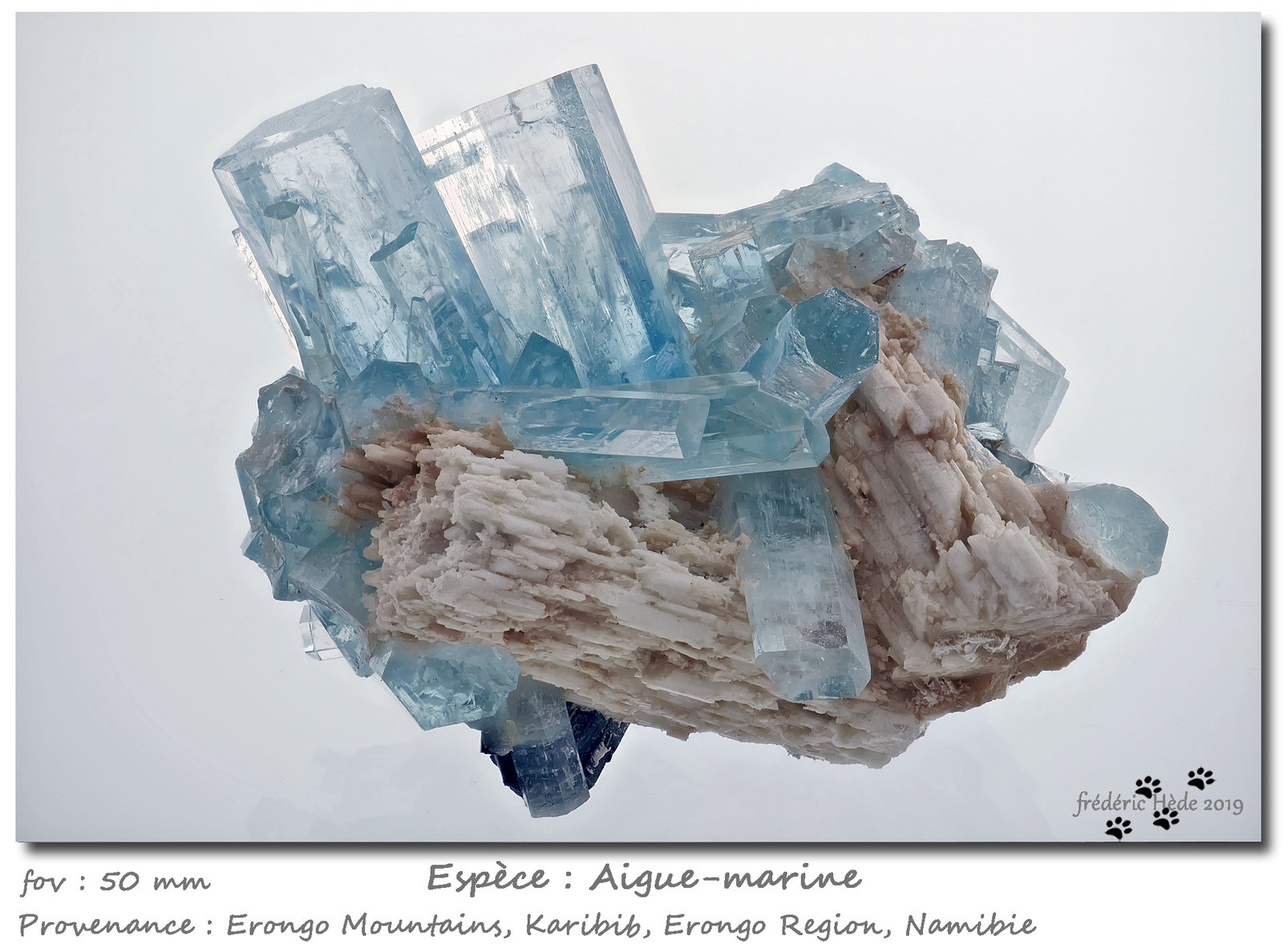 Beryl (variety aquamarine)
fov 50 mm
(Autor: ploum)