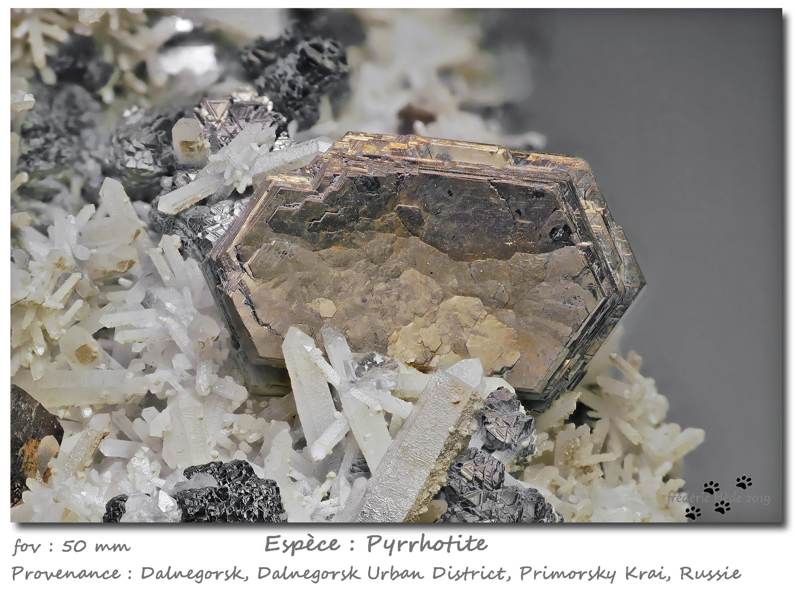 Pyrrhotite
fov 50 mm
(Autor: ploum)