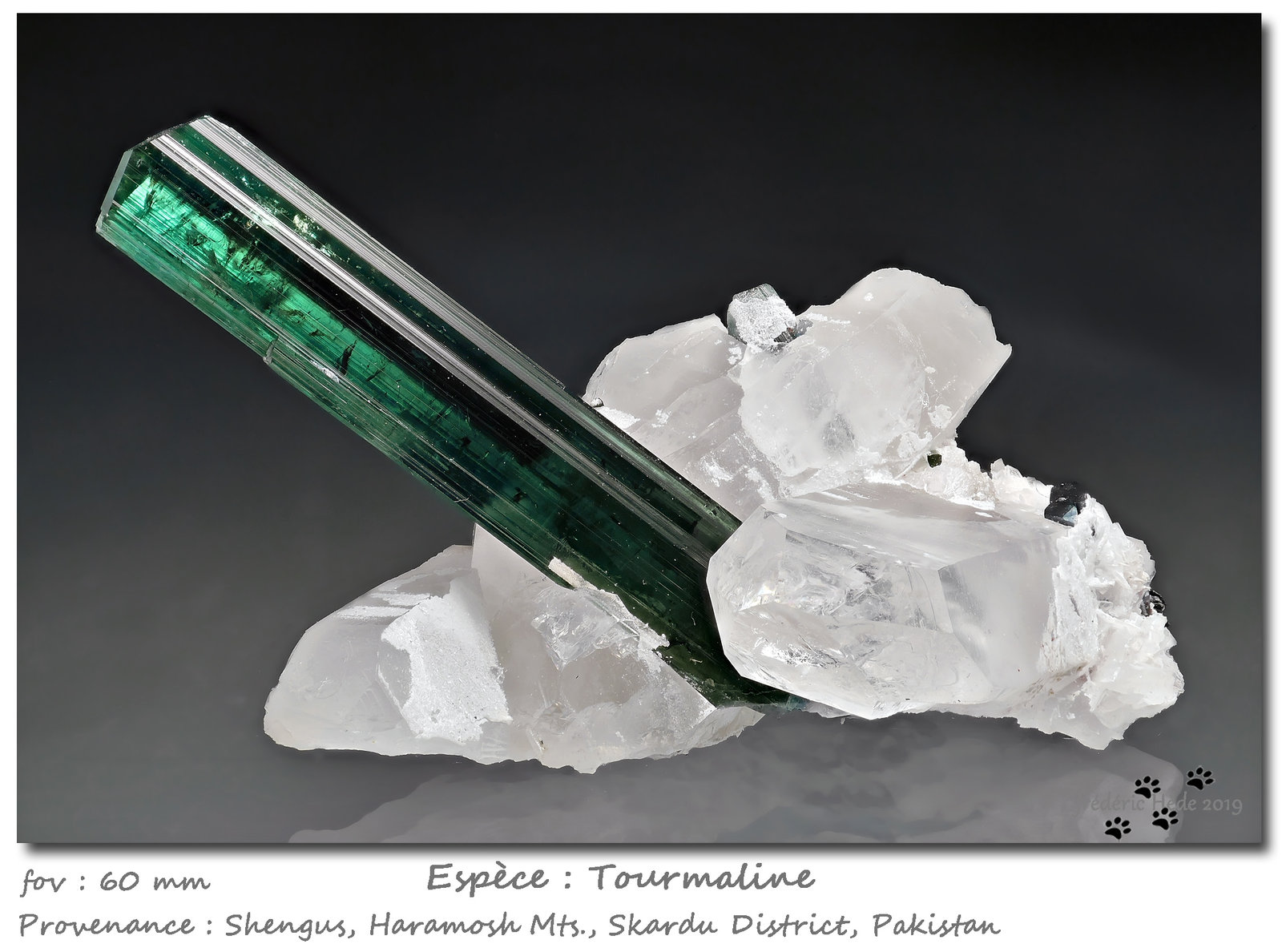 Tourmaline on Quartz
fov 60 mm
(Autor: ploum)