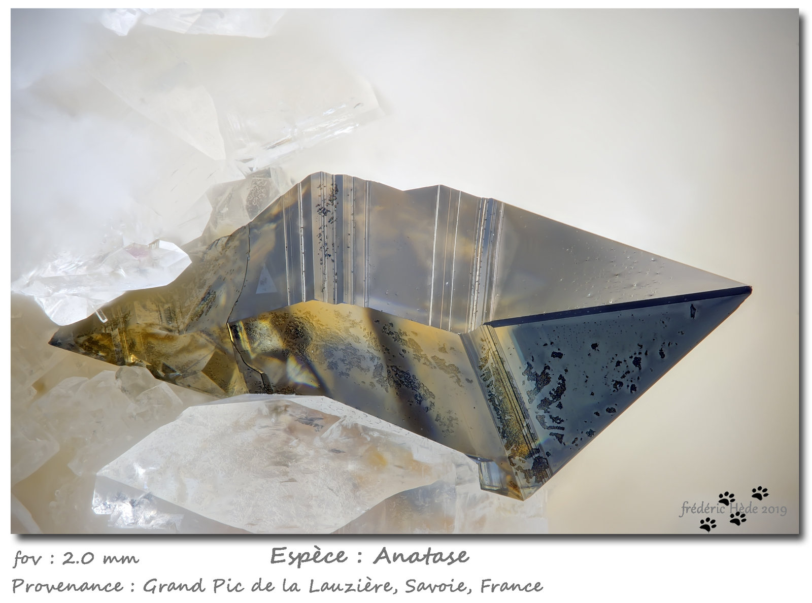 Anatase
fov 2.0 mm
(Autor: ploum)