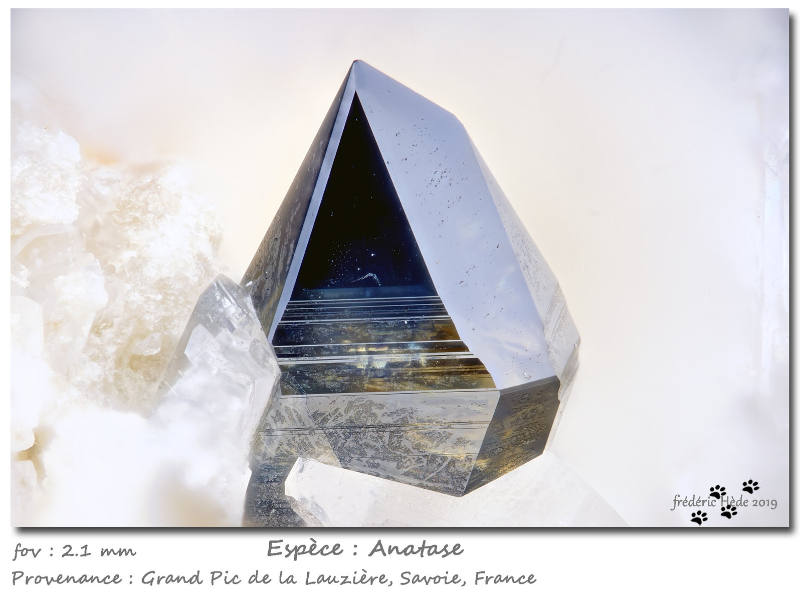 Anatase
fov 2.1 mm
(Autor: ploum)