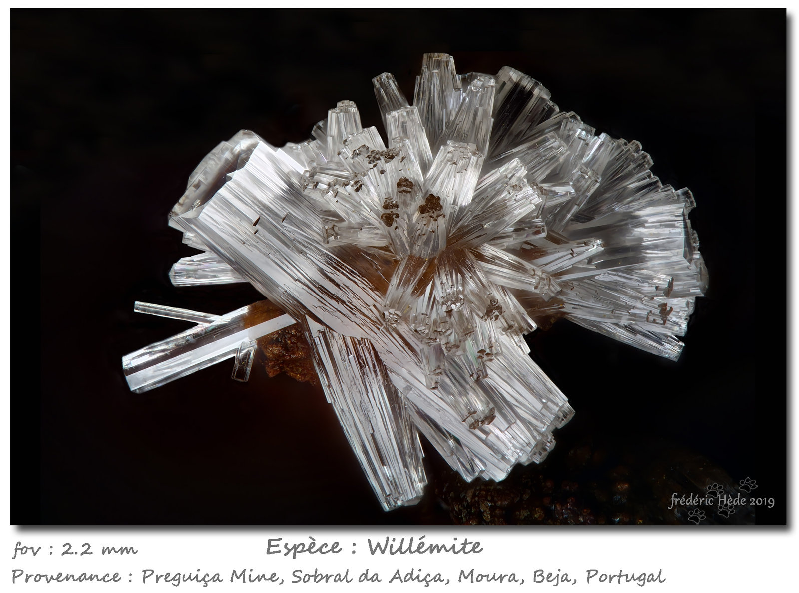 Willemite
fov 2.2 mm
(Autor: ploum)