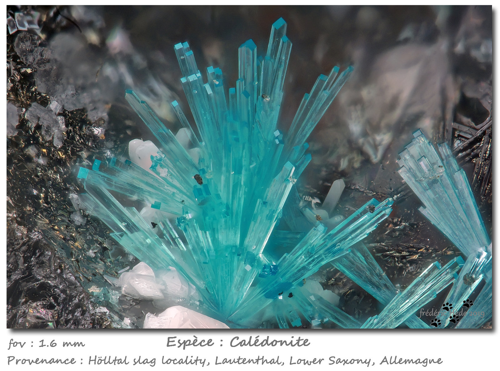 Caledonite
fov 1.6 mm
(Autor: ploum)